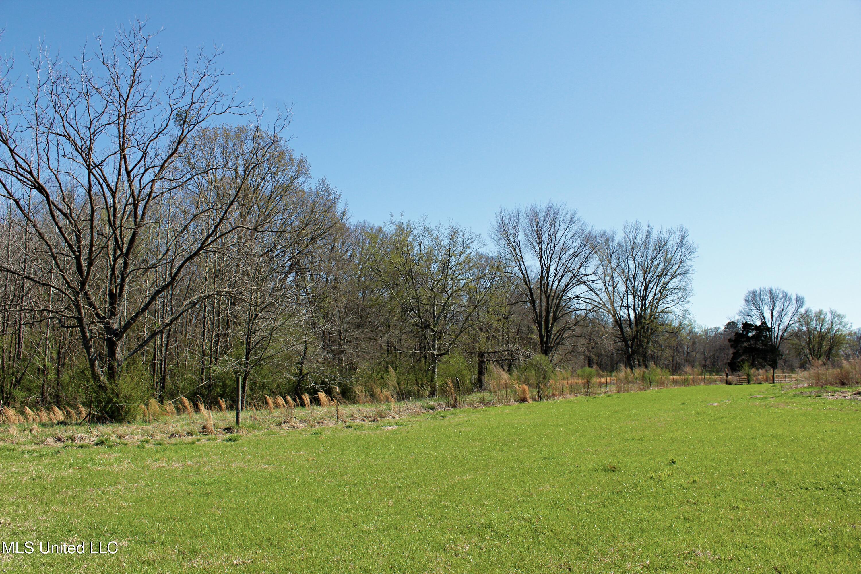 Highway 35, Kosciusko, Mississippi image 20