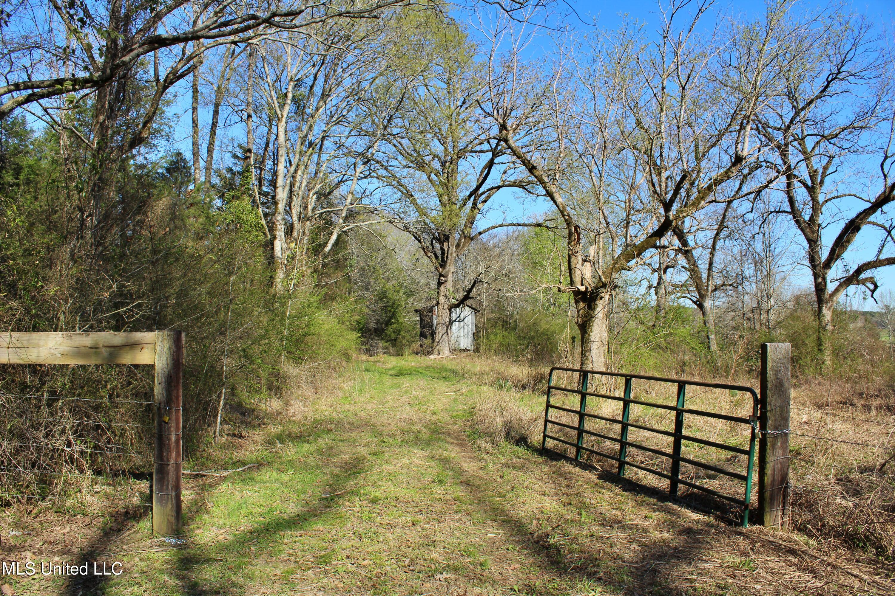 Highway 35, Kosciusko, Mississippi image 40