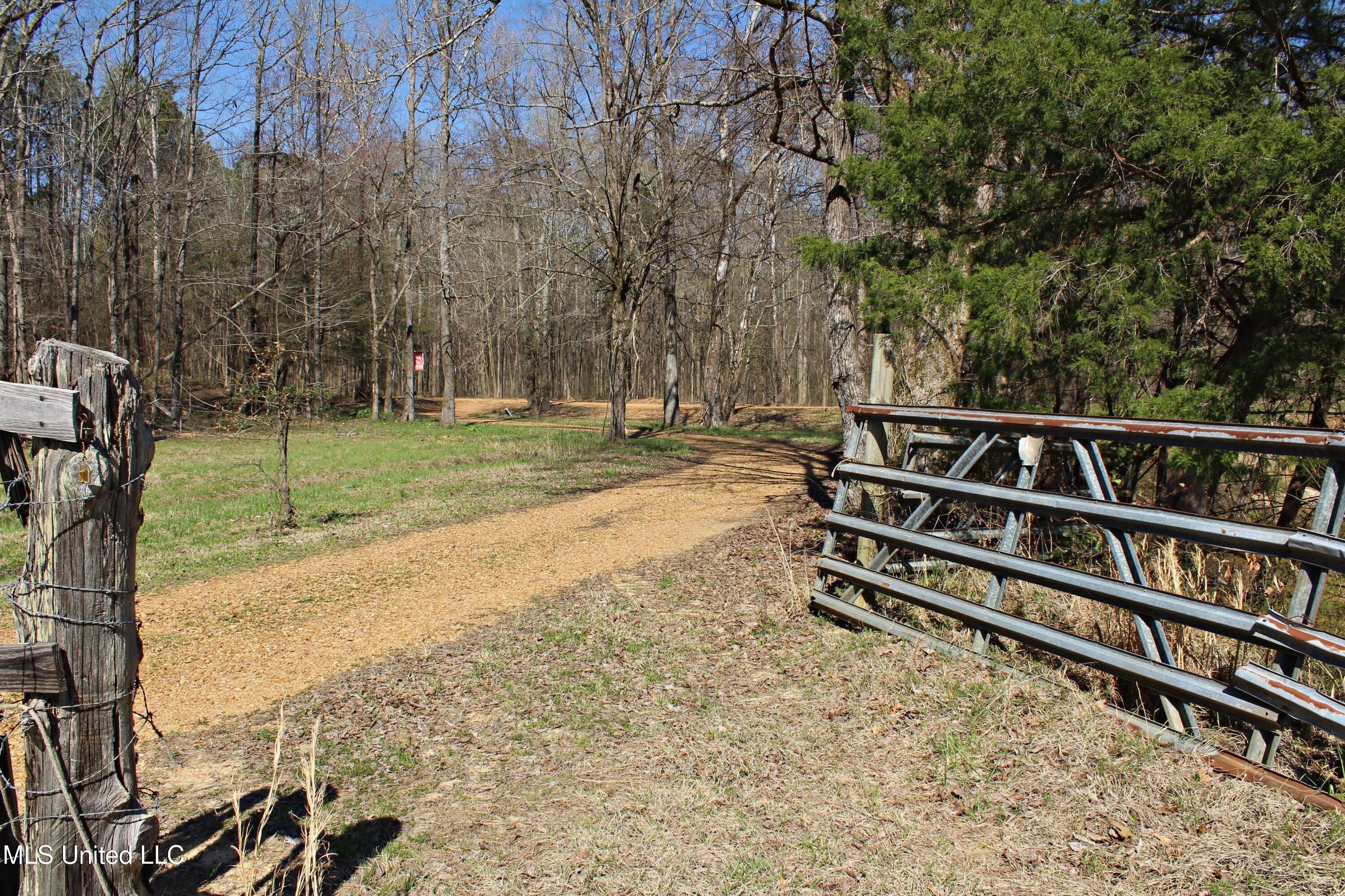 Highway 35, Kosciusko, Mississippi image 26