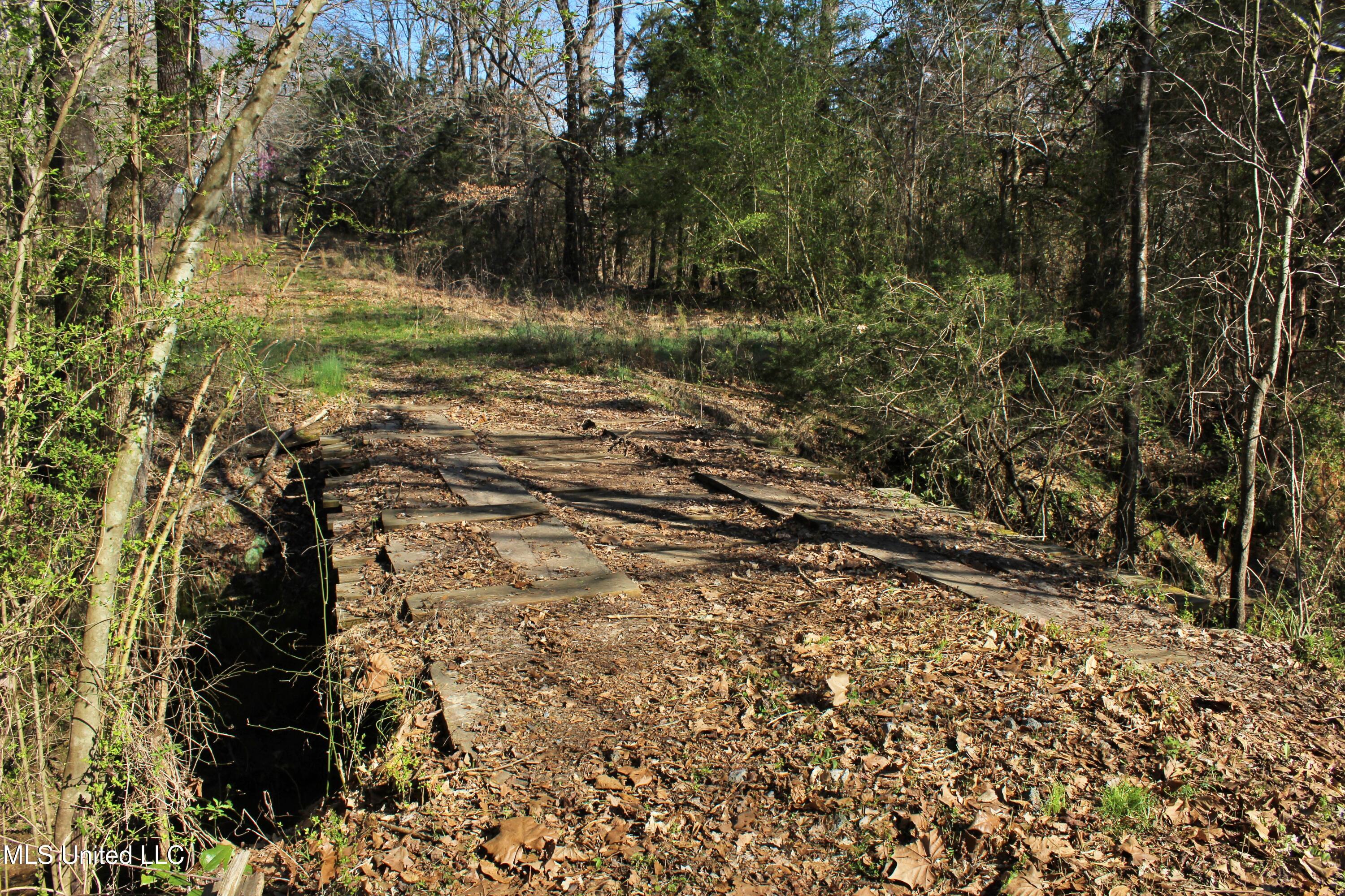 Highway 35, Kosciusko, Mississippi image 38