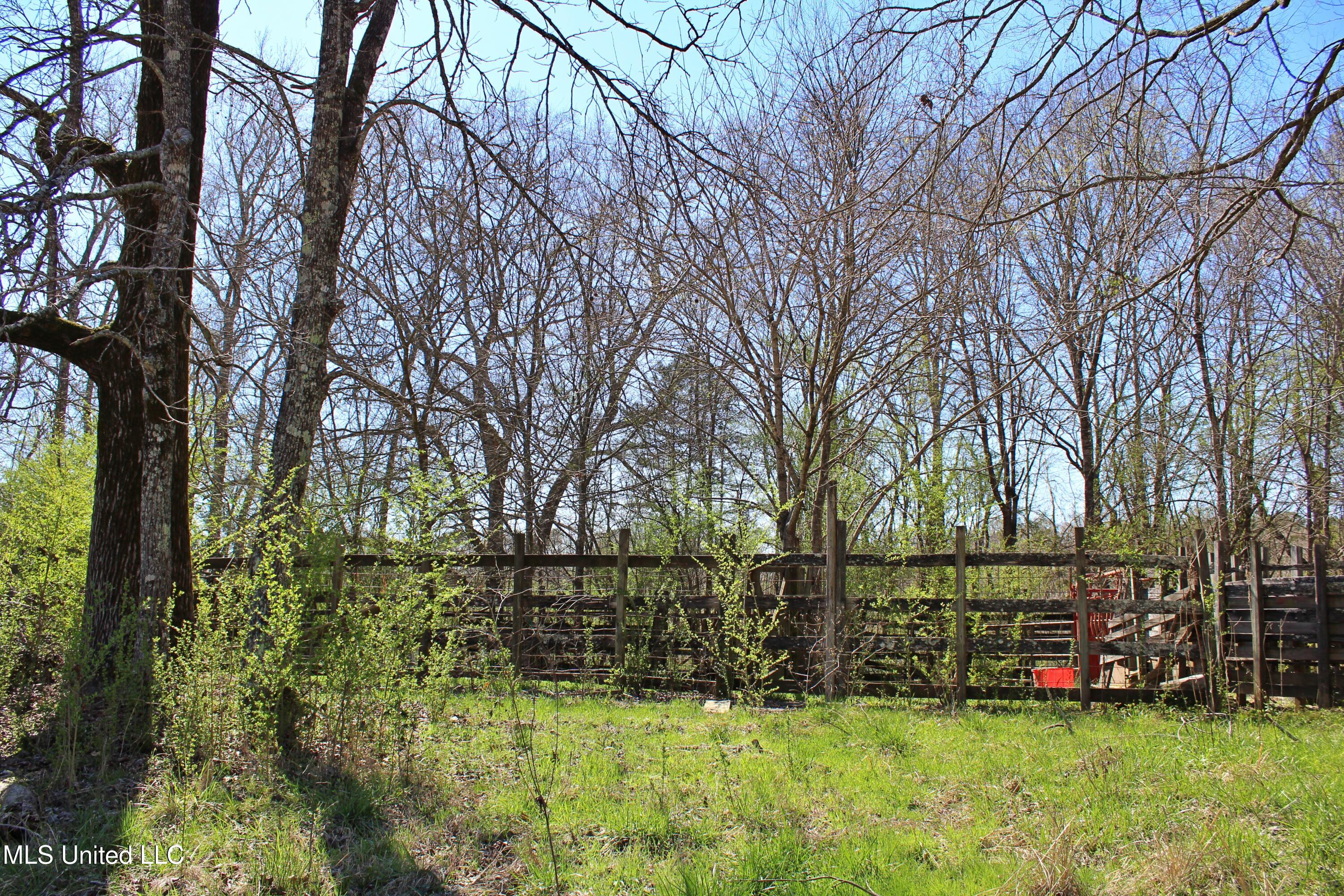 Highway 35, Kosciusko, Mississippi image 15