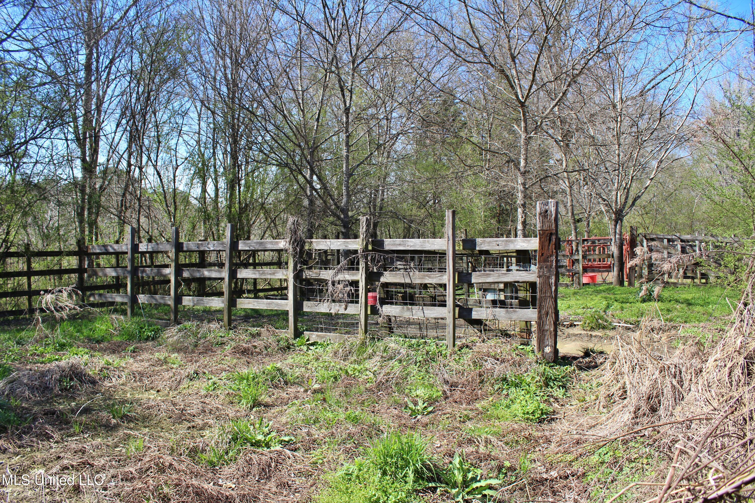 Highway 35, Kosciusko, Mississippi image 14