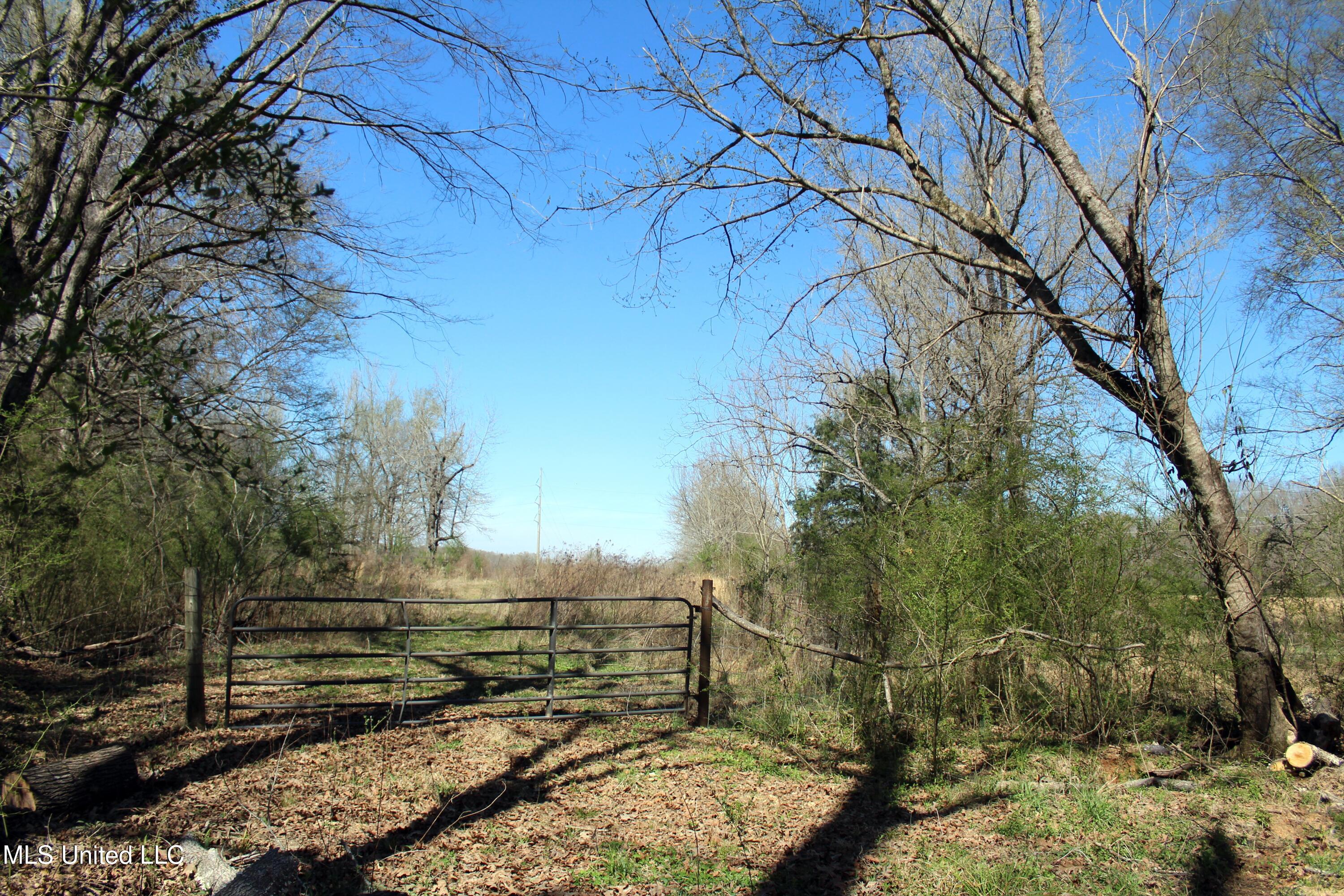 Highway 35, Kosciusko, Mississippi image 12
