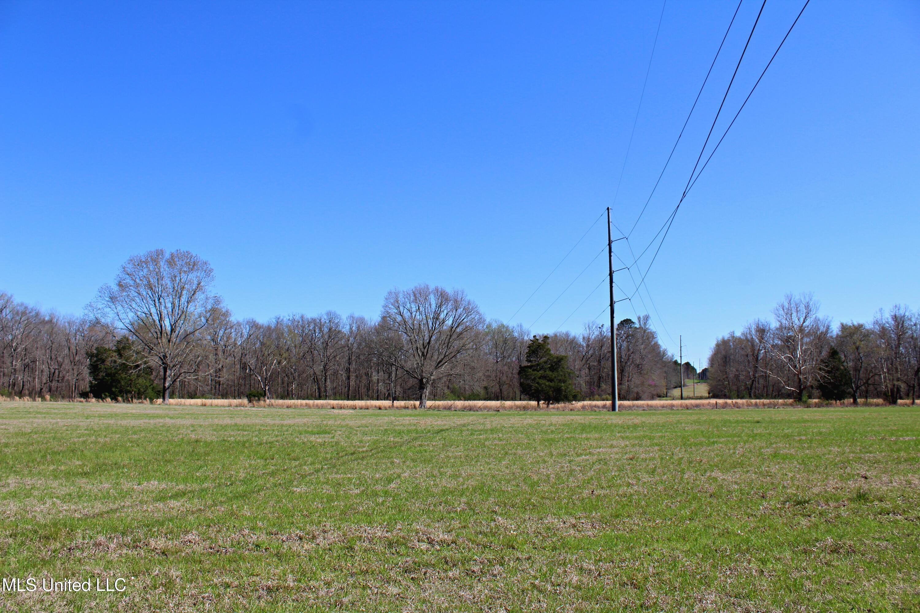 Highway 35, Kosciusko, Mississippi image 18