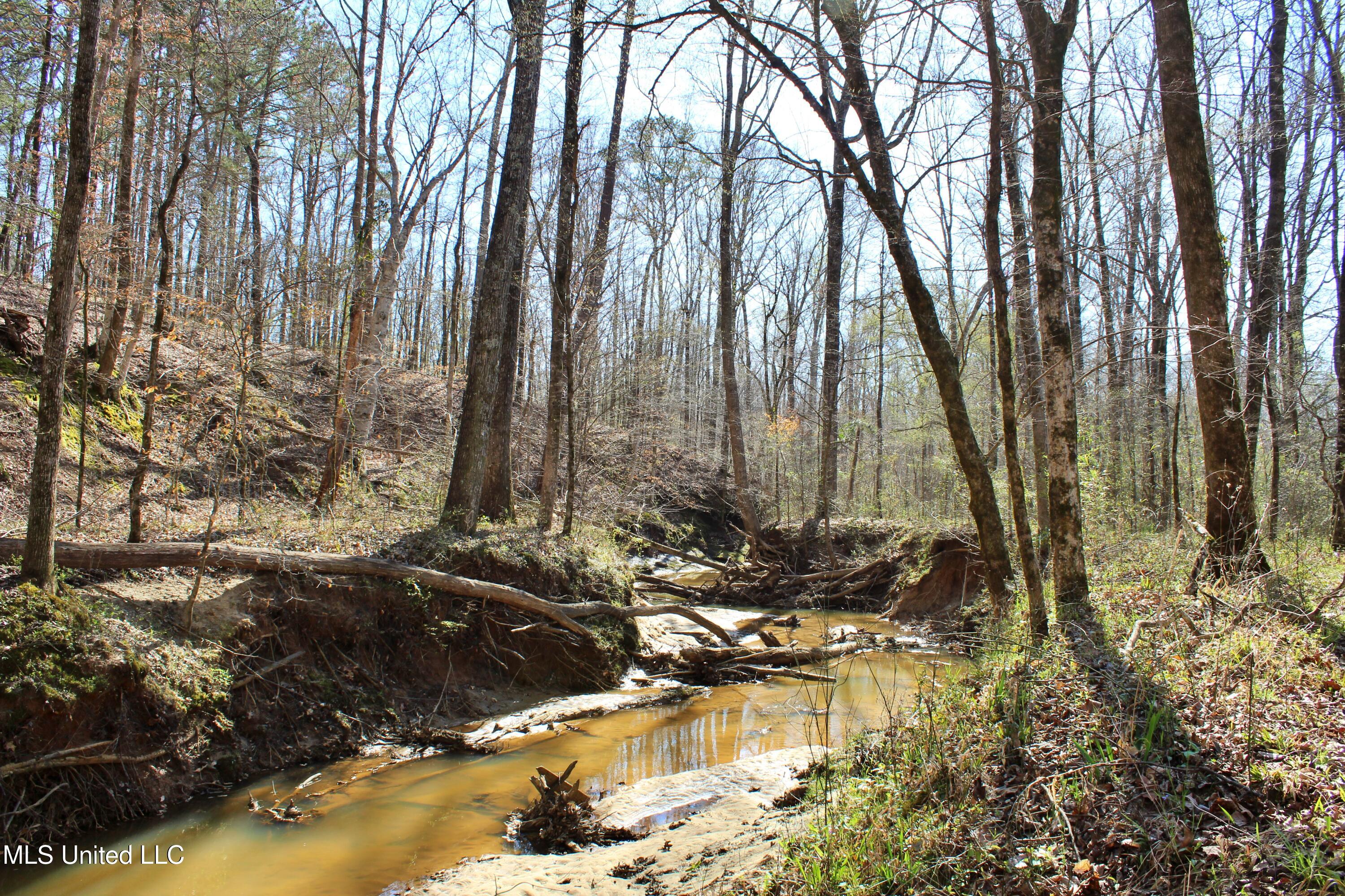 Highway 35, Kosciusko, Mississippi image 37