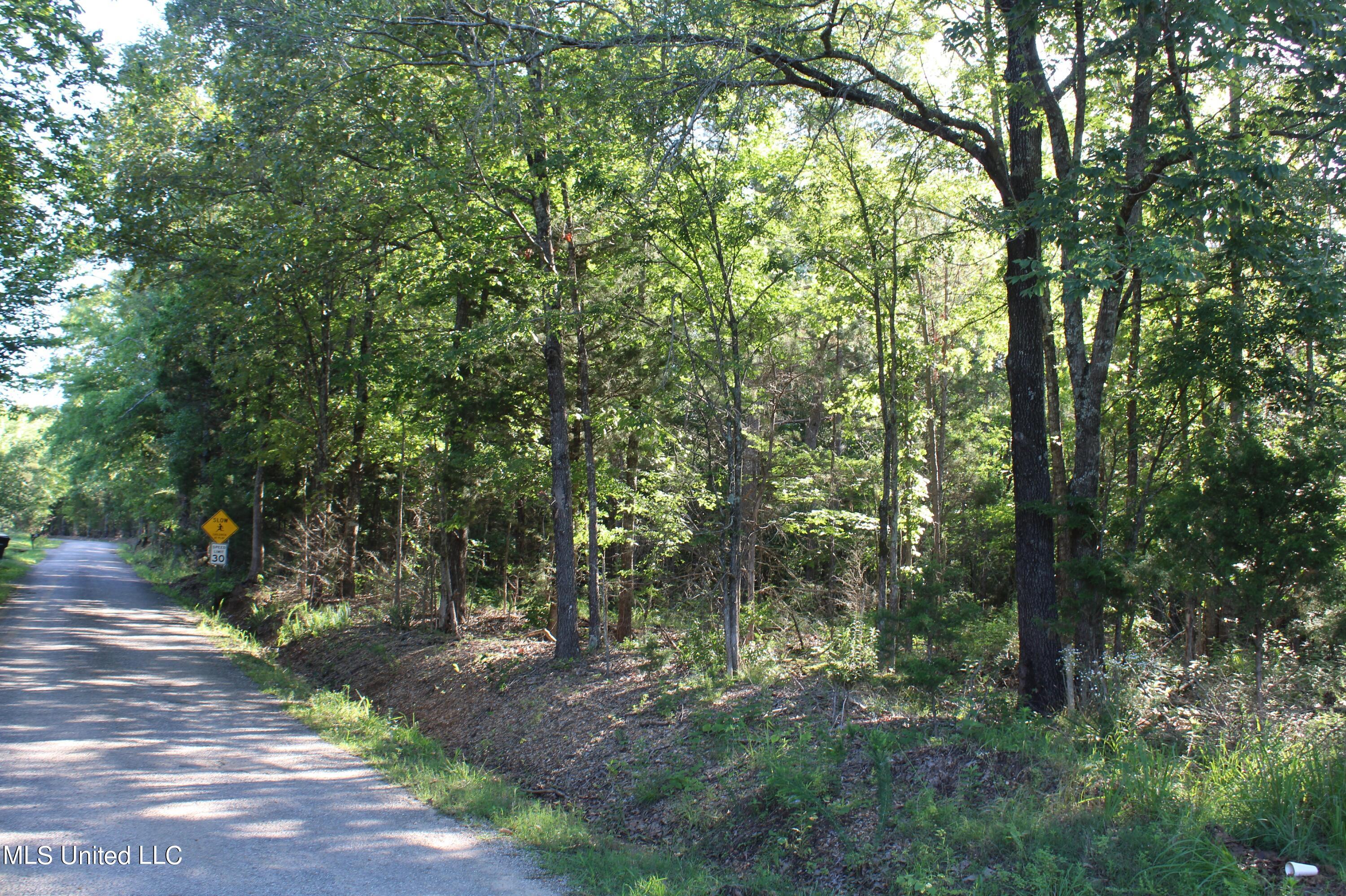 1501 Brownlee Road, Potts Camp, Mississippi image 1