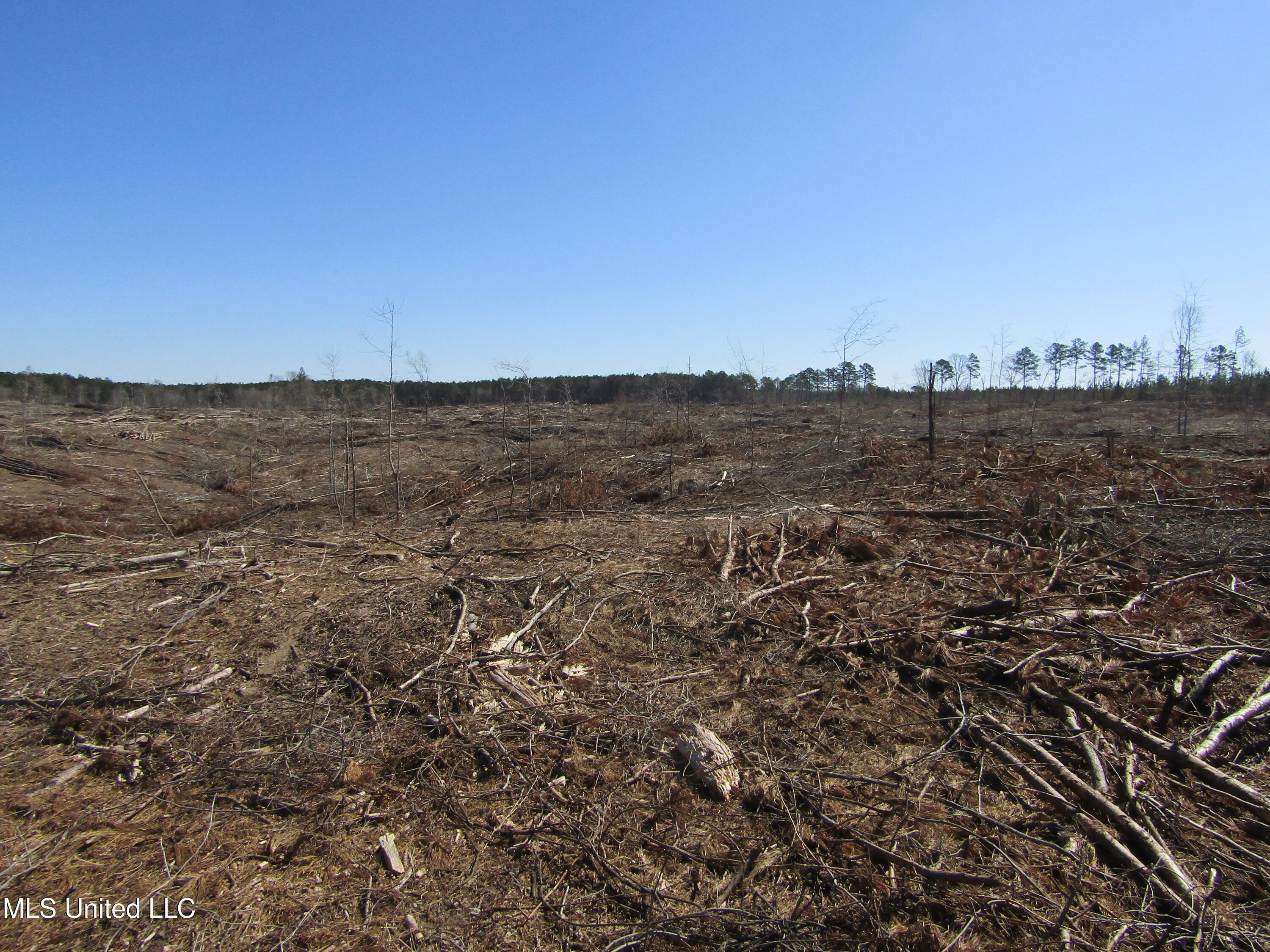 Firetower Rd, Camden, Mississippi image 8