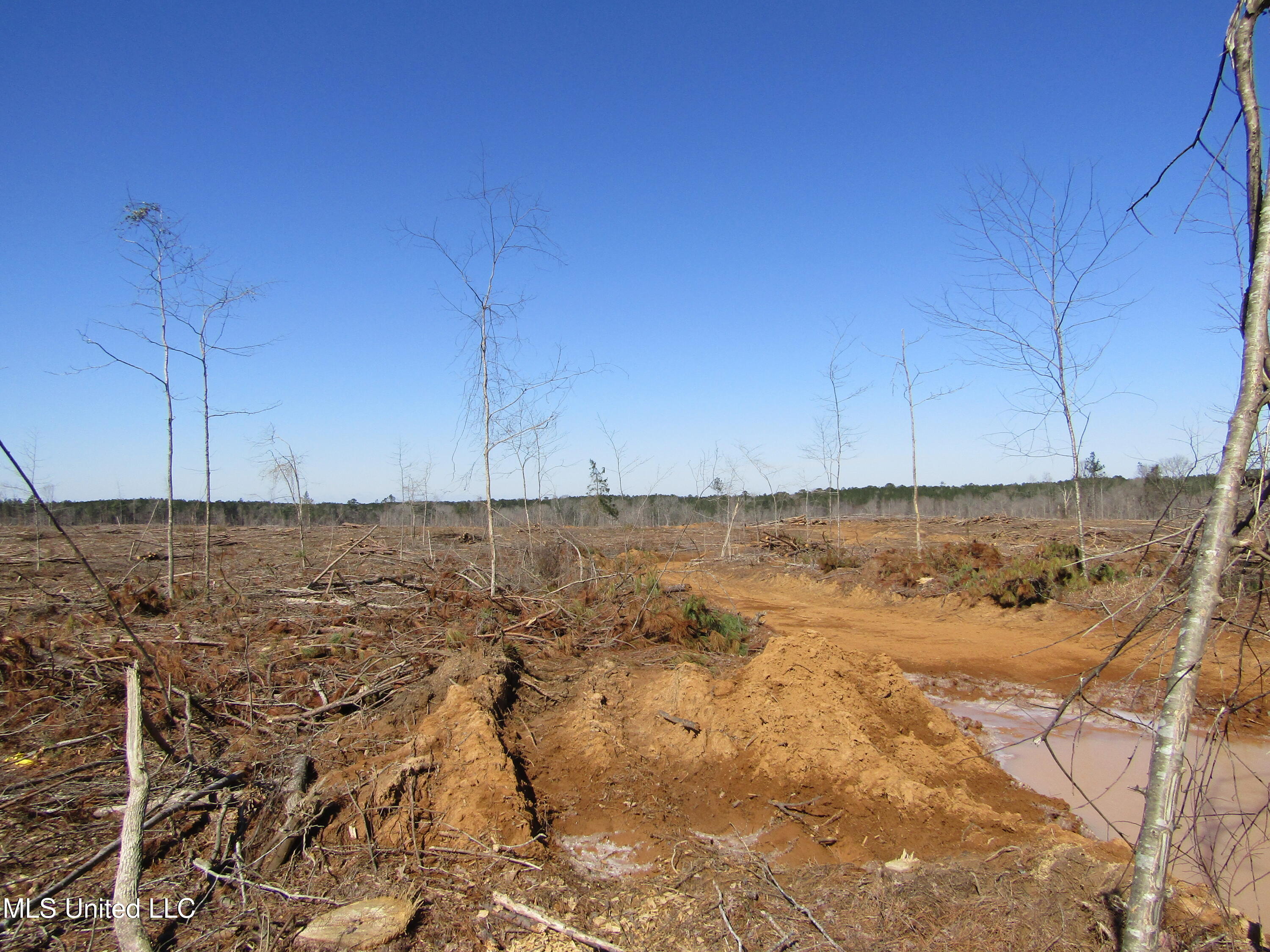 Firetower Rd, Camden, Mississippi image 6