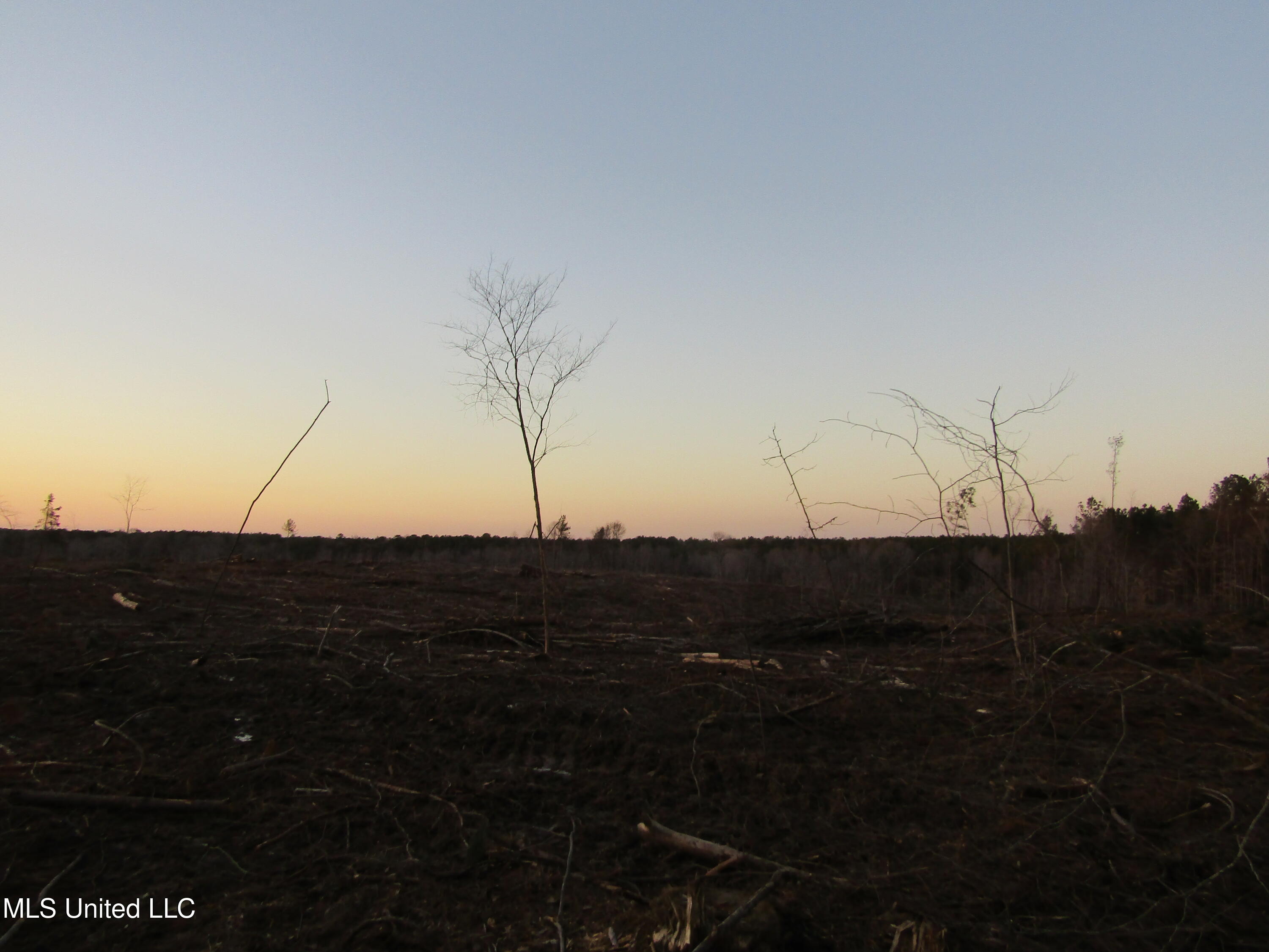 Firetower Rd, Camden, Mississippi image 5