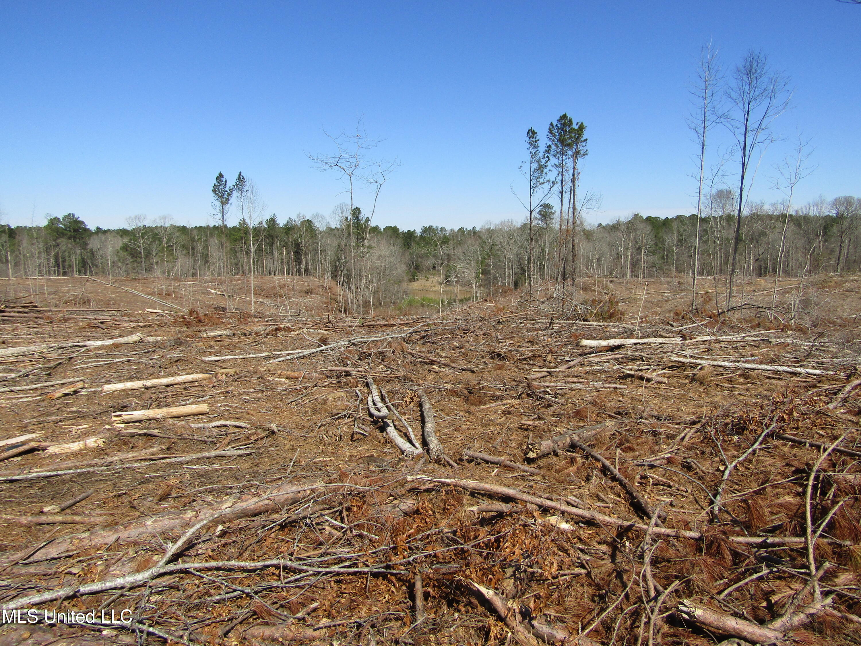 Firetower Rd, Camden, Mississippi image 10