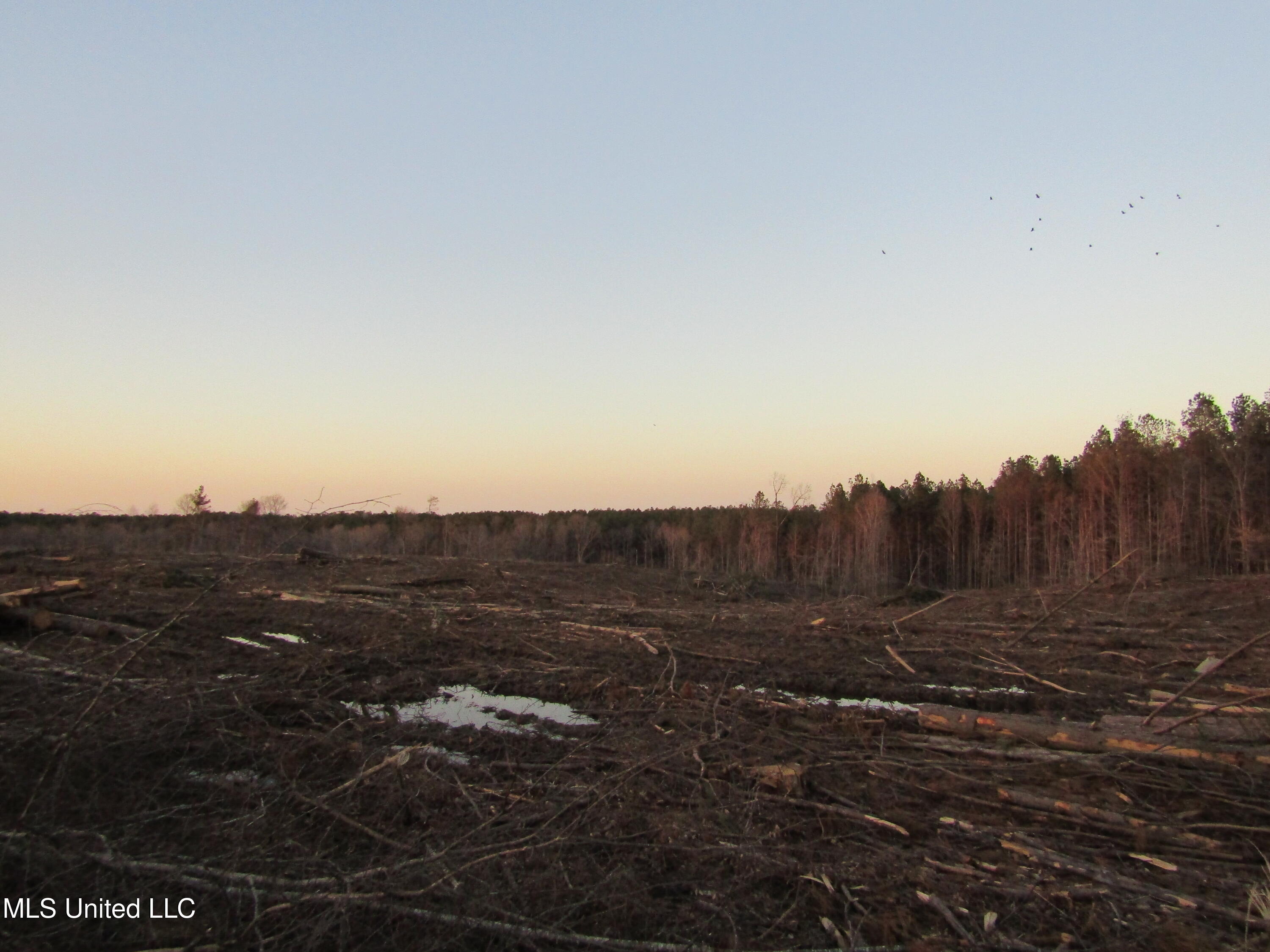 Firetower Rd, Camden, Mississippi image 1