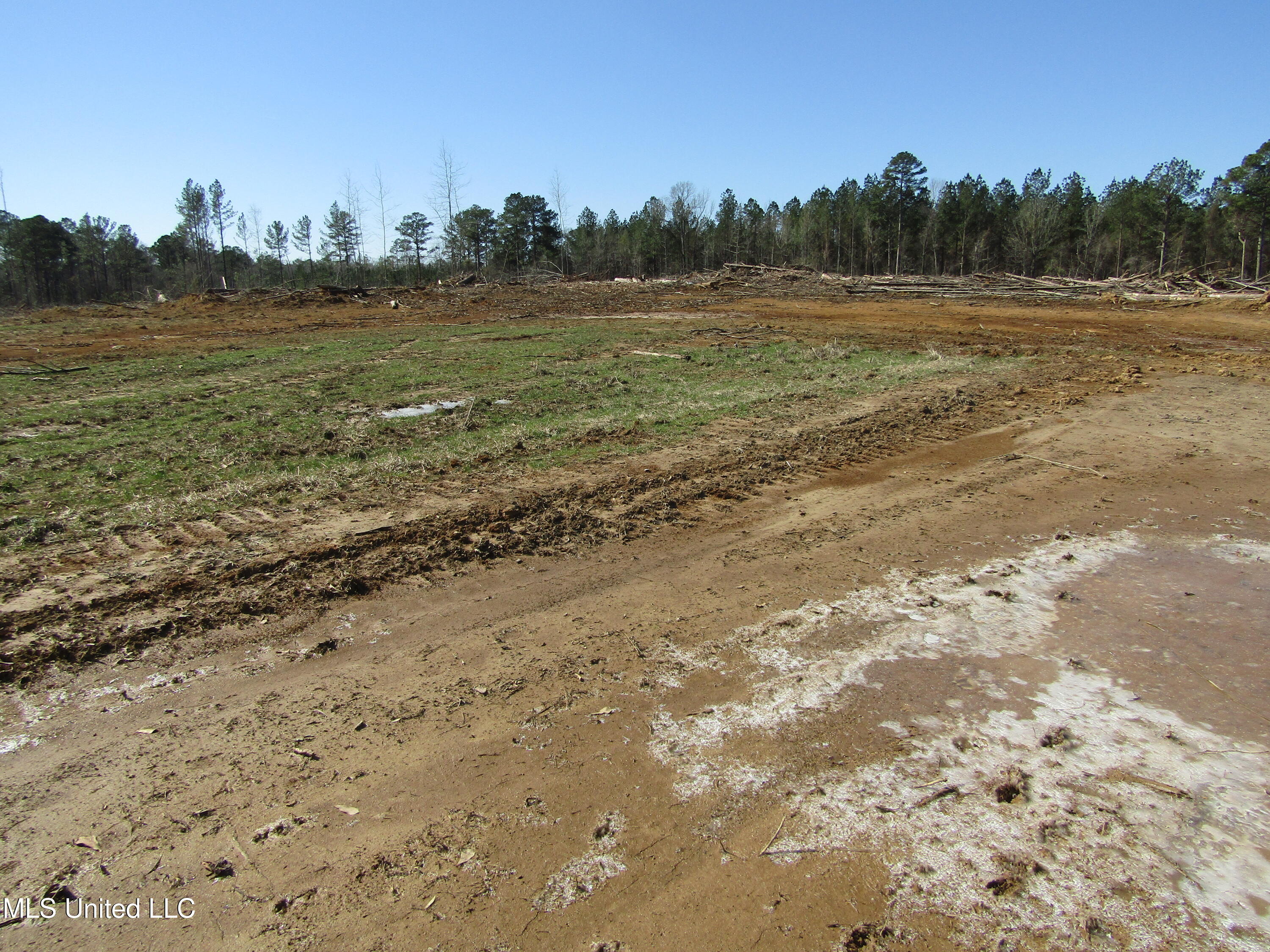 Firetower Rd, Camden, Mississippi image 7
