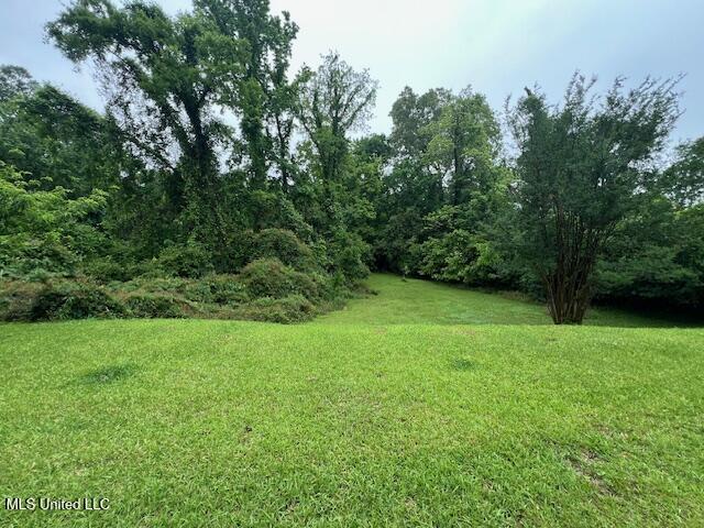 112 Dana Road, Natchez, Mississippi image 26