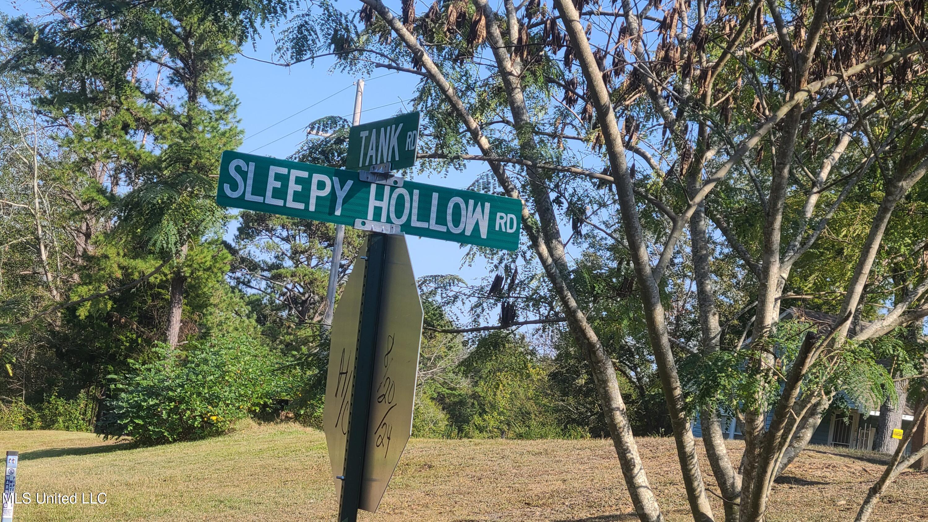 Sleepy Hollow Road, Terry, Mississippi image 1