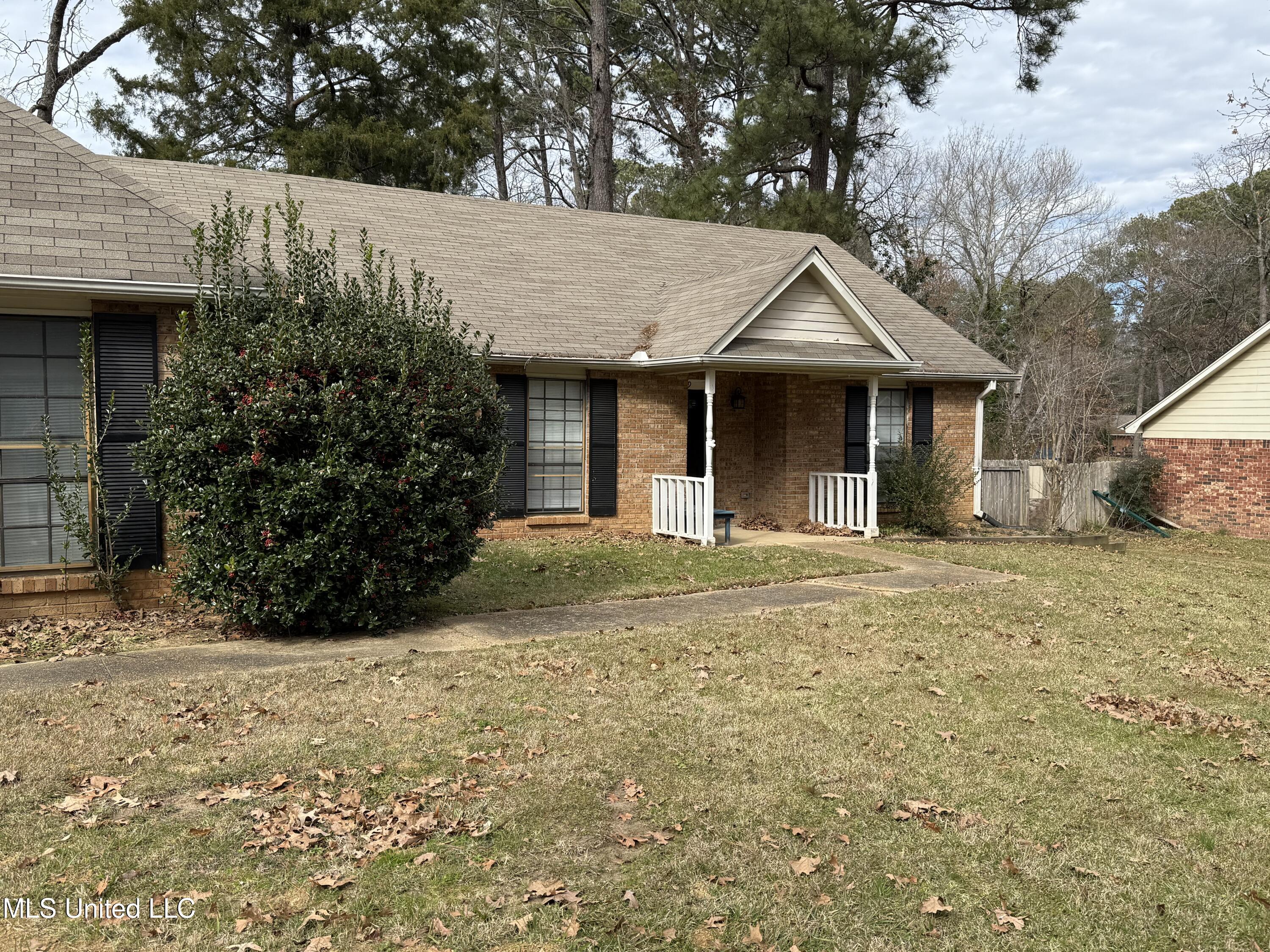 179 Bellegrove Circle, Brandon, Mississippi image 3