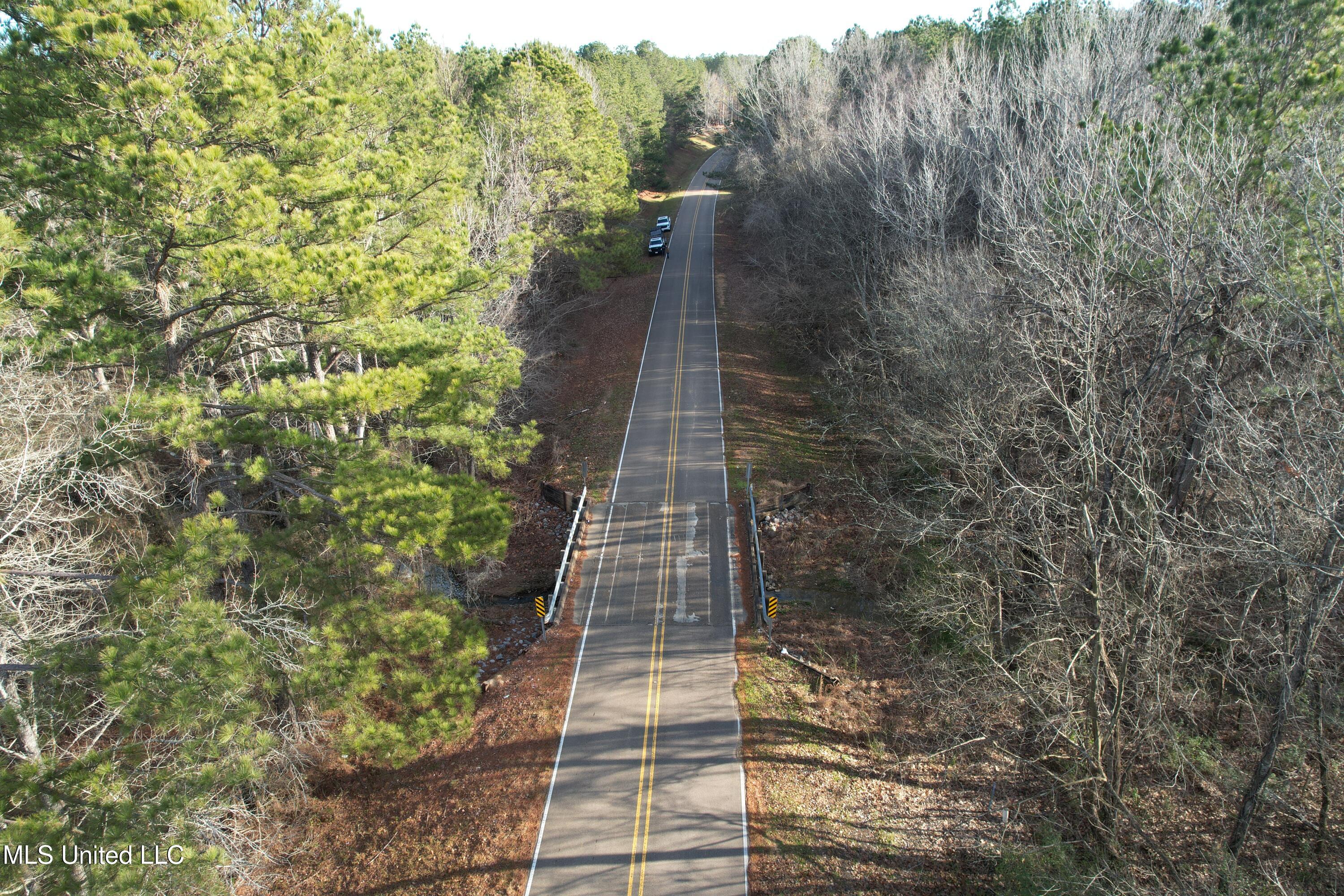 Robinson Road, Canton, Mississippi image 3