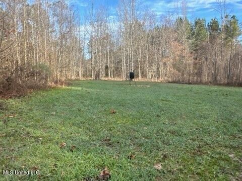 Vacant Land For Sale - Robinson Road<br/> Canton, MS 39046