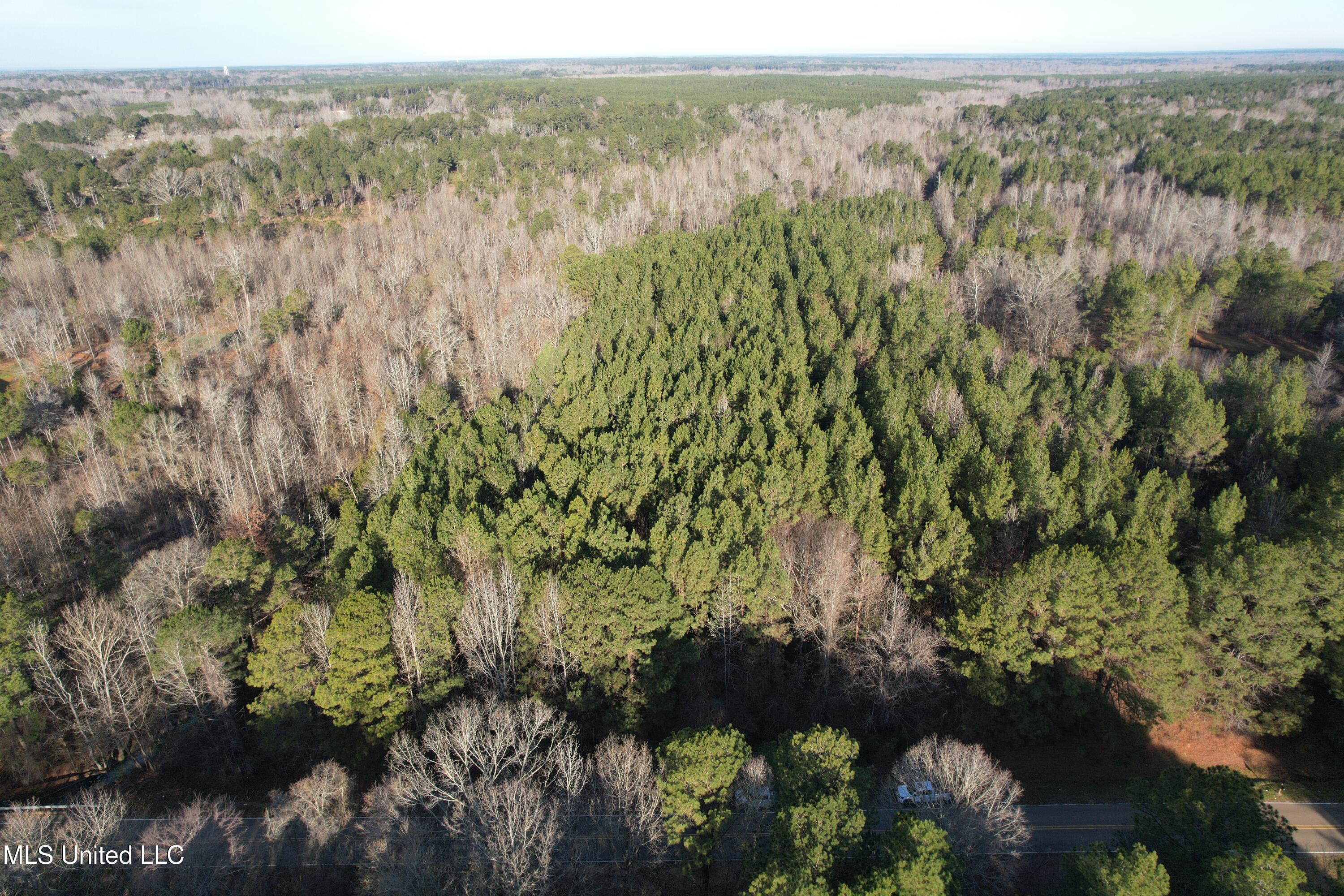 Robinson Road, Canton, Mississippi image 2