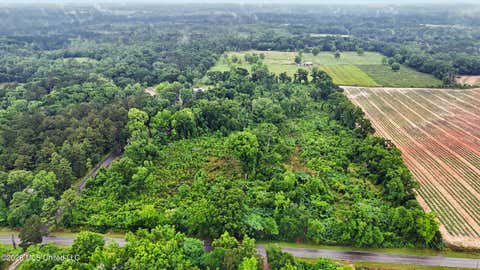 Vacant Land For Sale - Basin School Road<br/> Lucedale, MS 39452