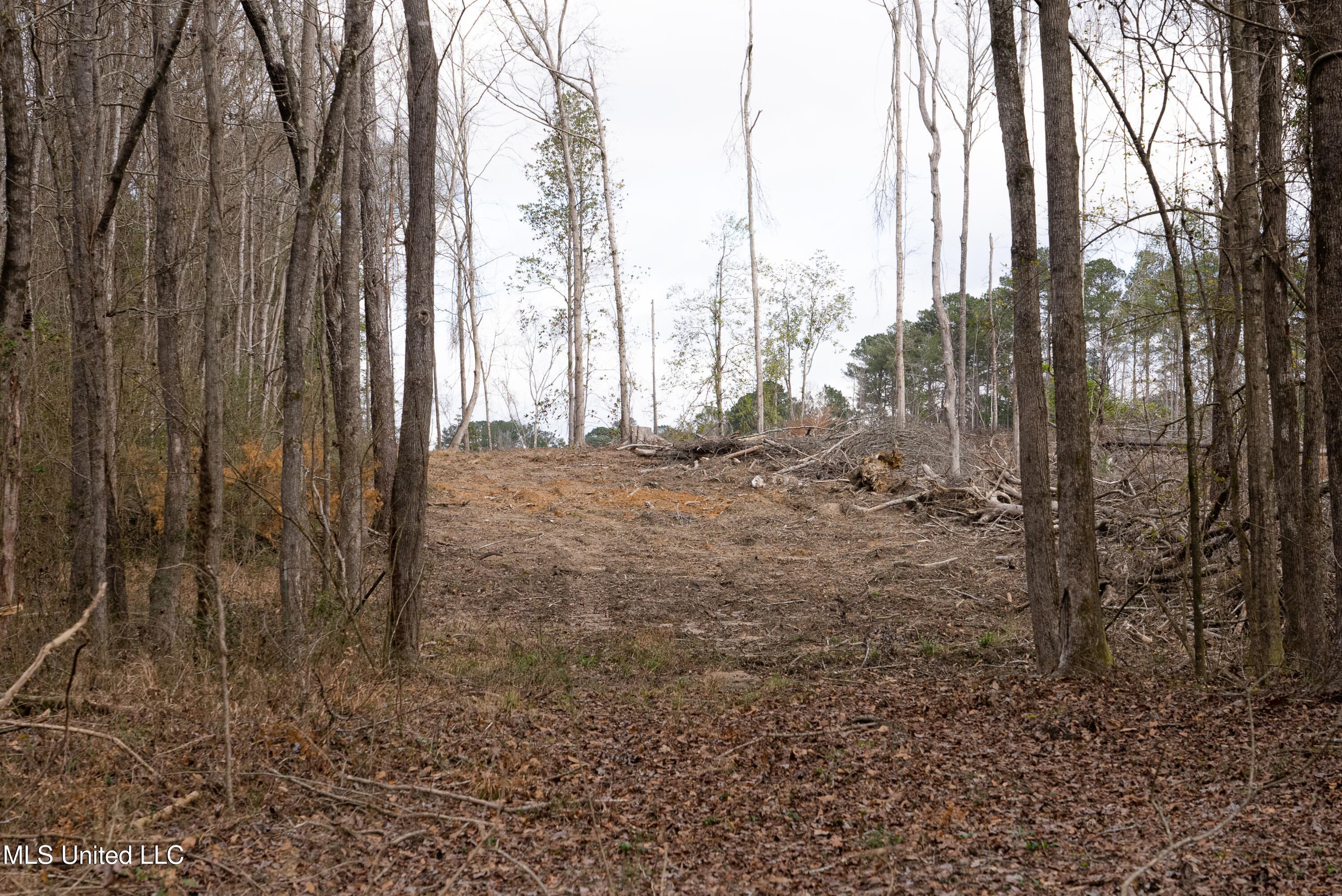 Forest Glen Drive, Laurel, Mississippi image 10