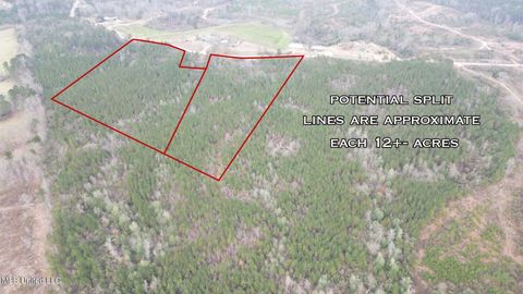 Vacant Land For Sale - 1847 Smith County Road 123<br/> Smith County, Magee, MS 39111
