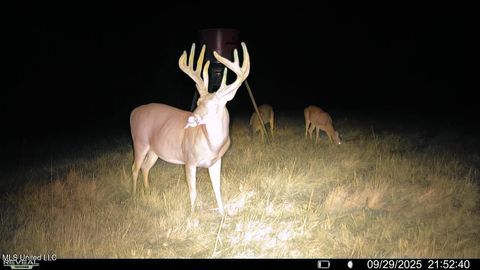 Vacant Land For Sale - Raymond Road<br/> Jackson, MS 39212