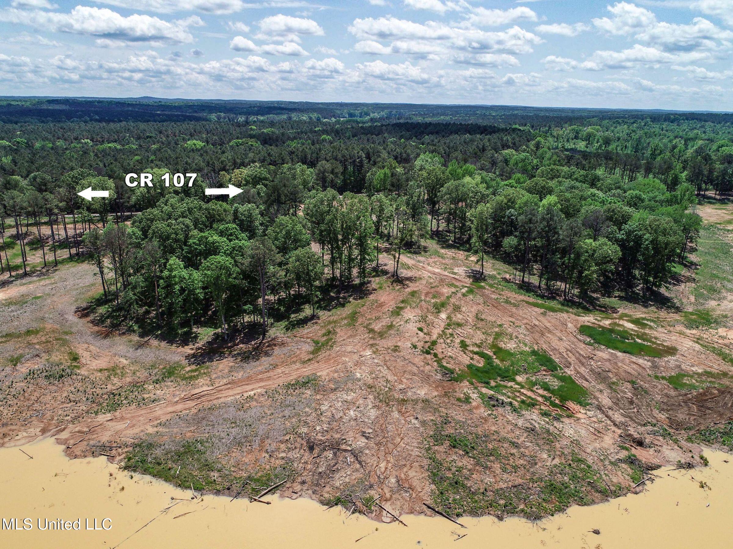 County Road 107, Oxford, Mississippi image 43