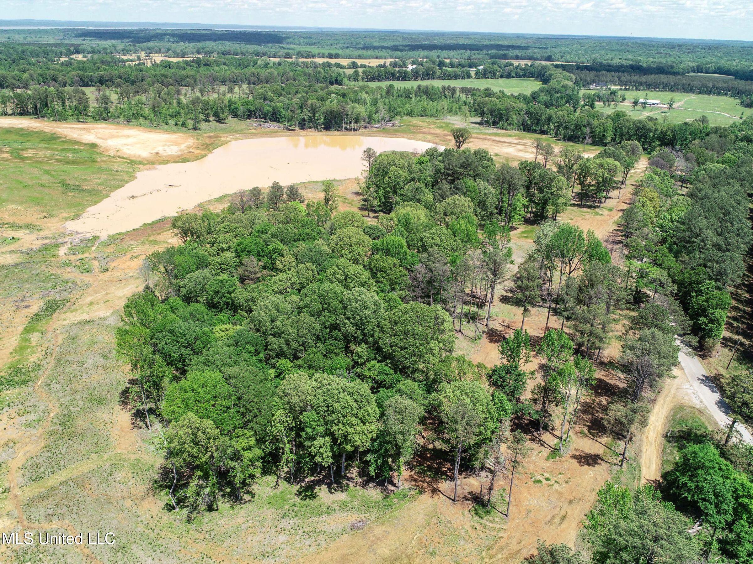 County Road 107, Oxford, Mississippi image 35