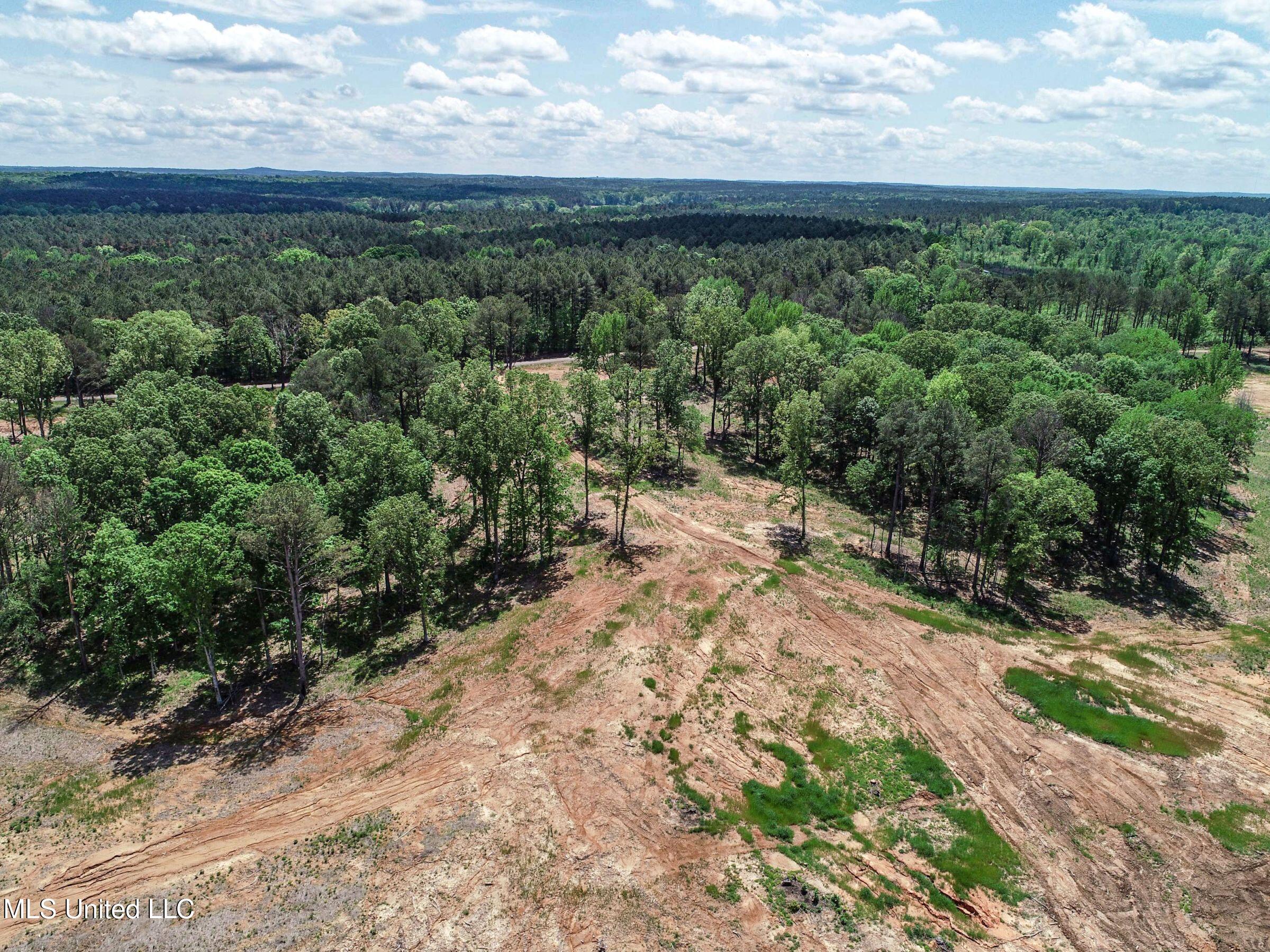 County Road 107, Oxford, Mississippi image 44