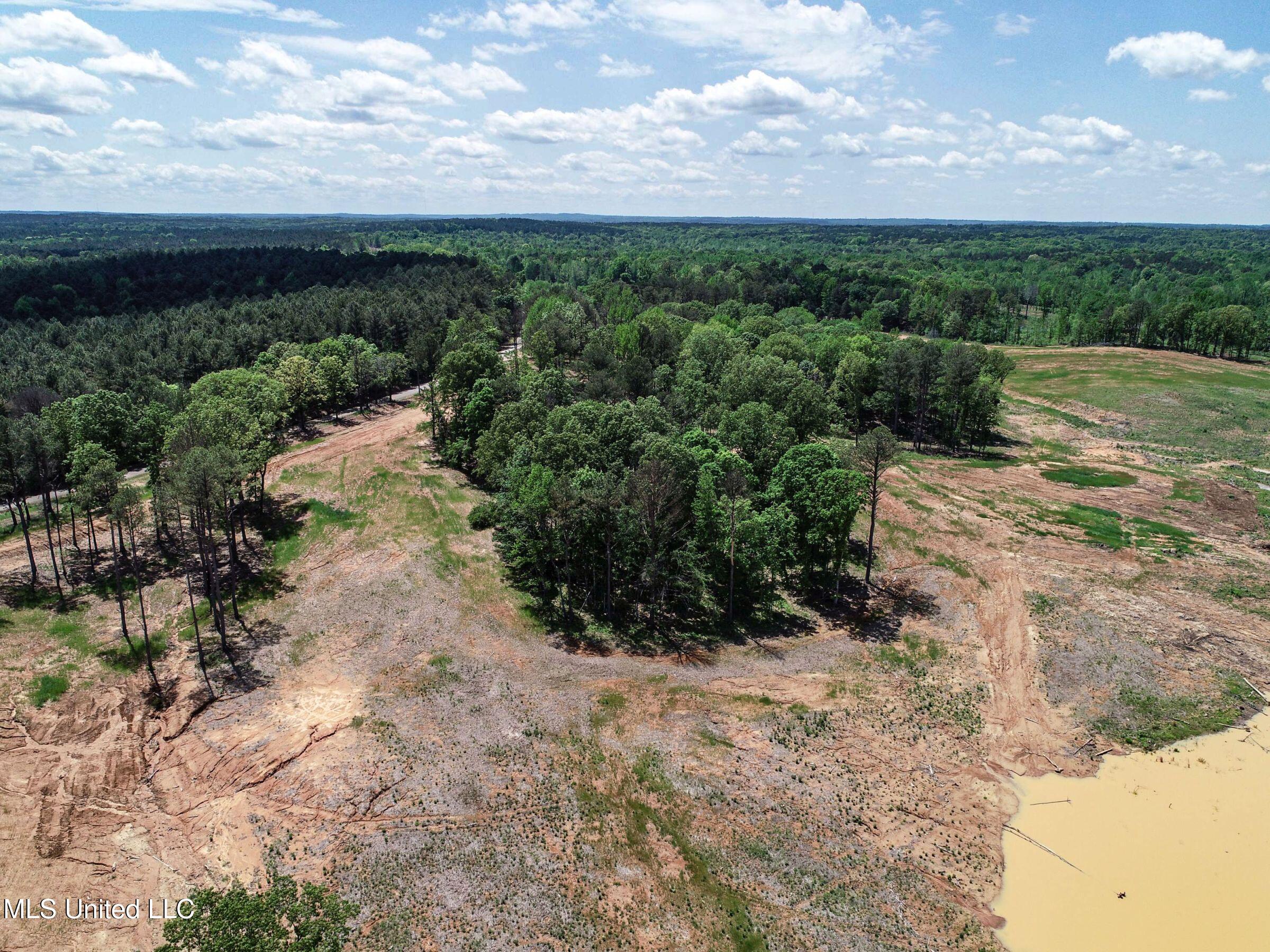 County Road 107, Oxford, Mississippi image 50