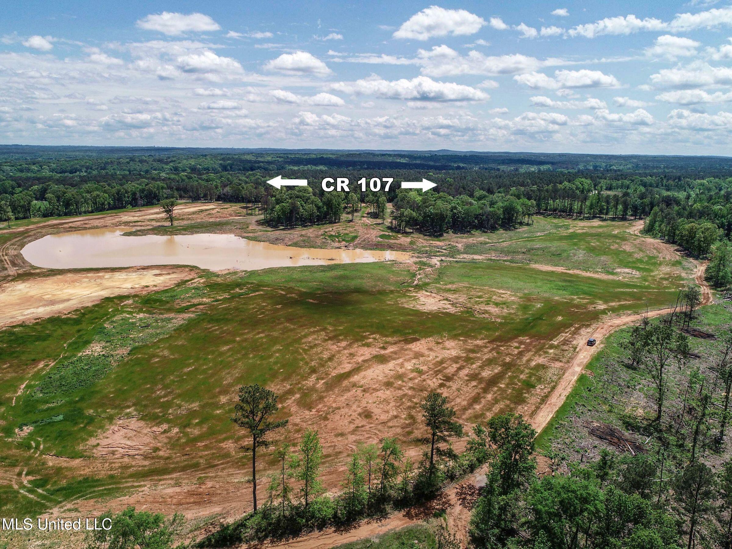 County Road 107, Oxford, Mississippi image 38