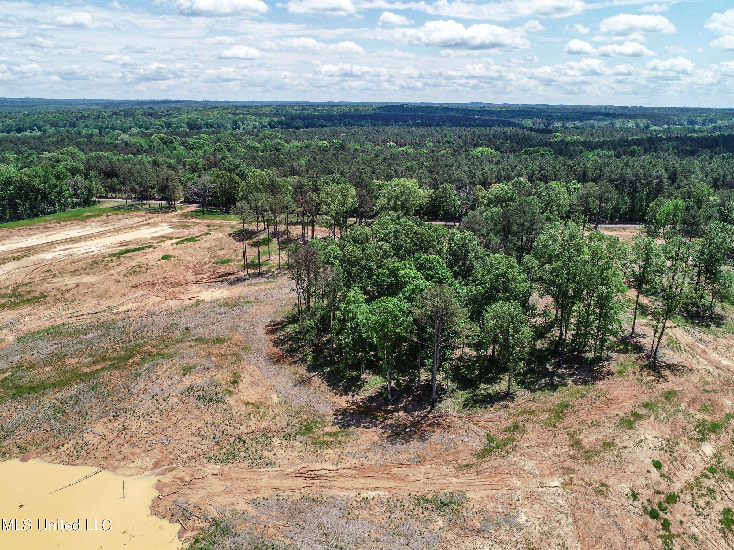 County Road 107, Oxford, Mississippi image 45