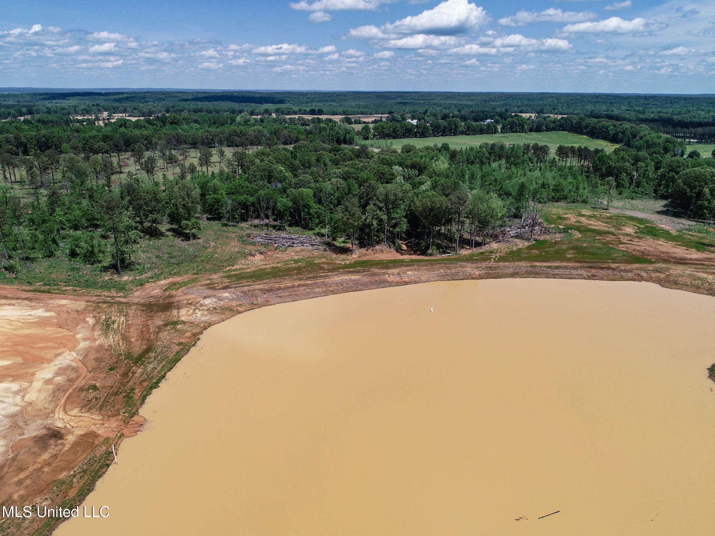 County Road 107, Oxford, Mississippi image 47