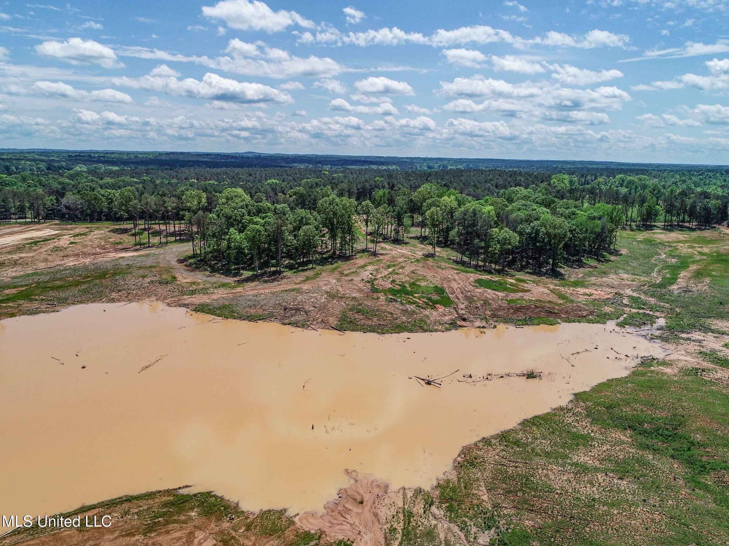 County Road 107, Oxford, Mississippi image 41