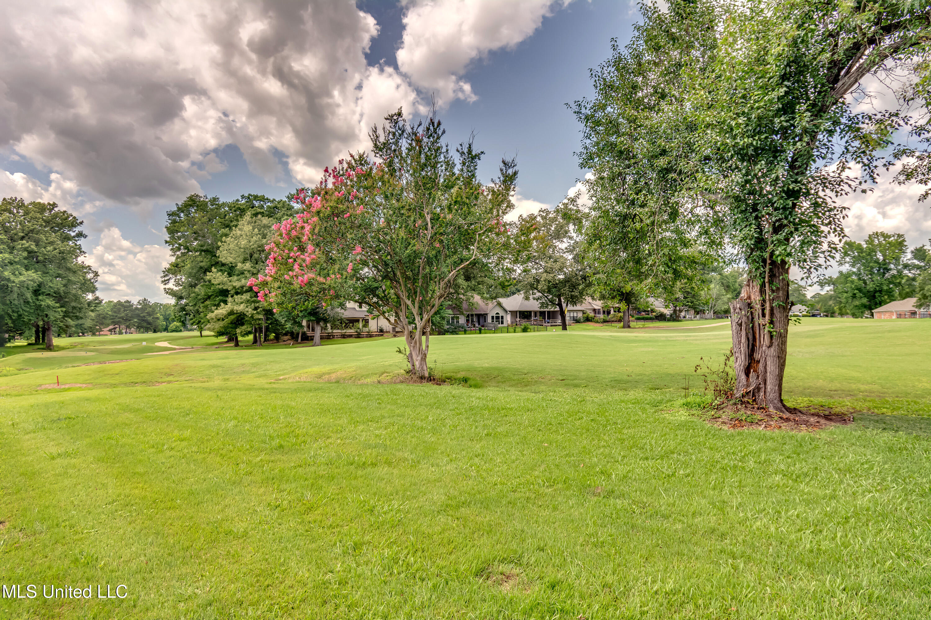 Canton, Mississippi 39046, United States, 4 Bedrooms Bedrooms, ,3 BathroomsBathrooms,Residential,Active,149562