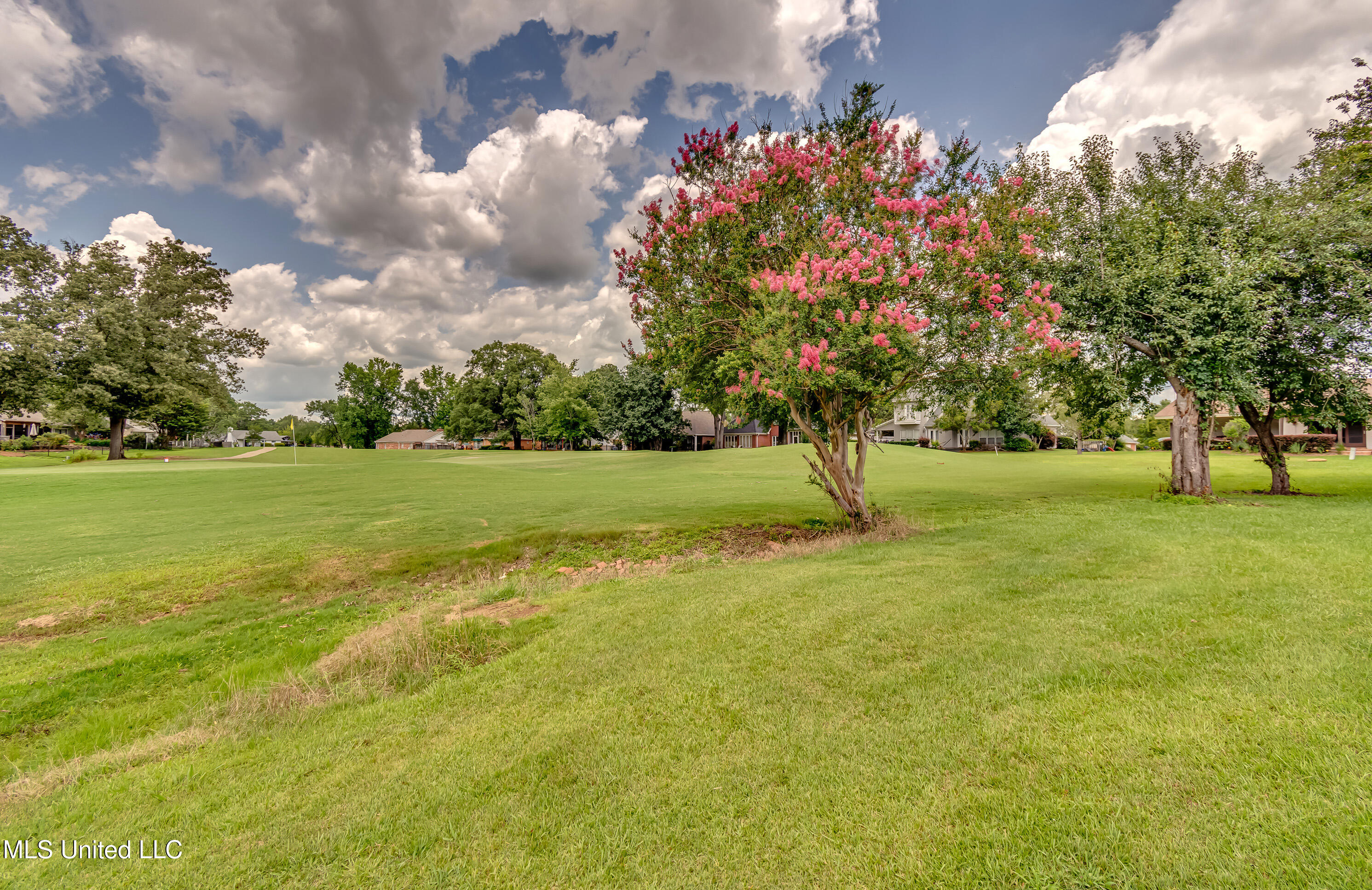 Canton, Mississippi 39046, United States, 4 Bedrooms Bedrooms, ,3 BathroomsBathrooms,Residential,Active,149562