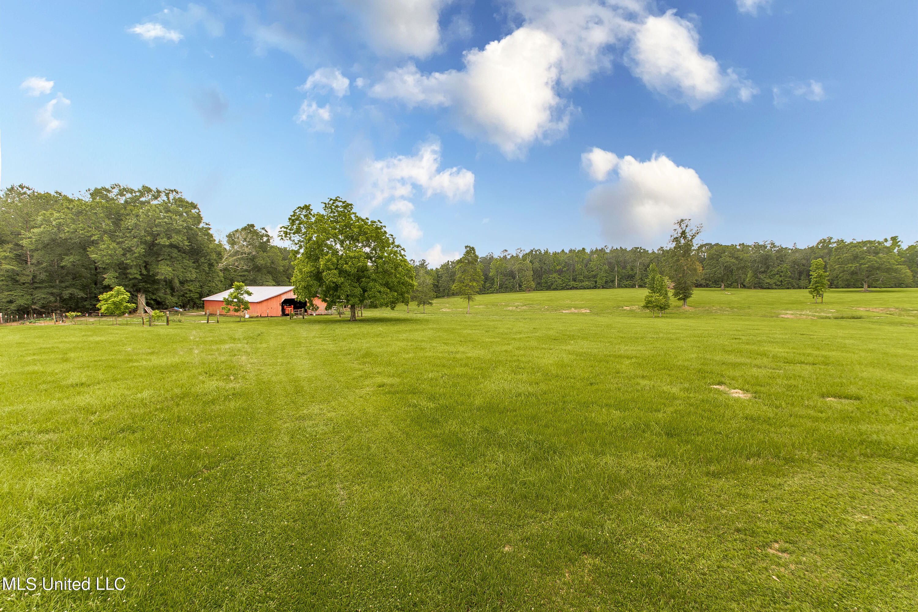 1975 Fords Creek Road, Poplarville, Mississippi image 31