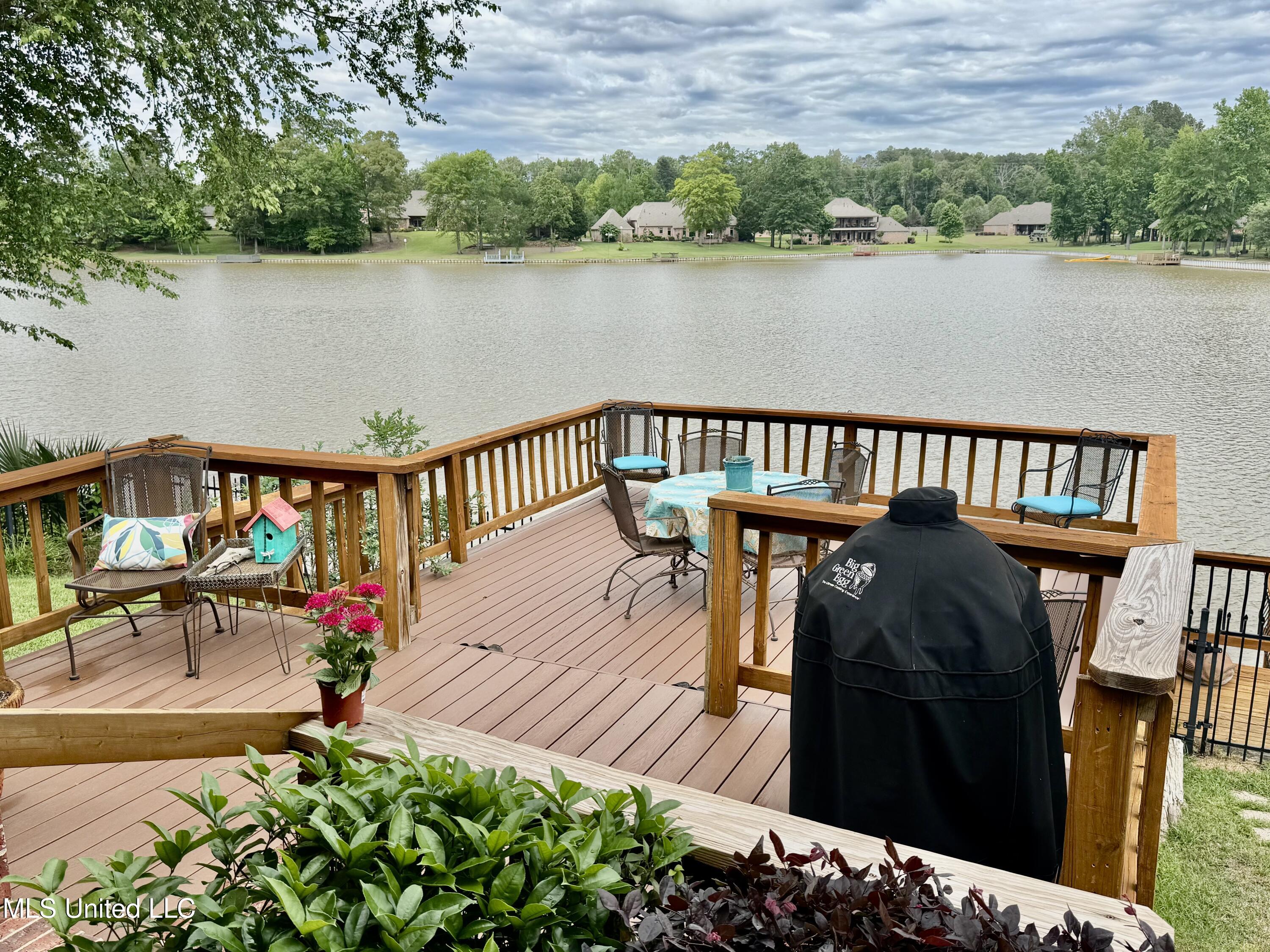 419 Providence Drive, Brandon, Mississippi image 21