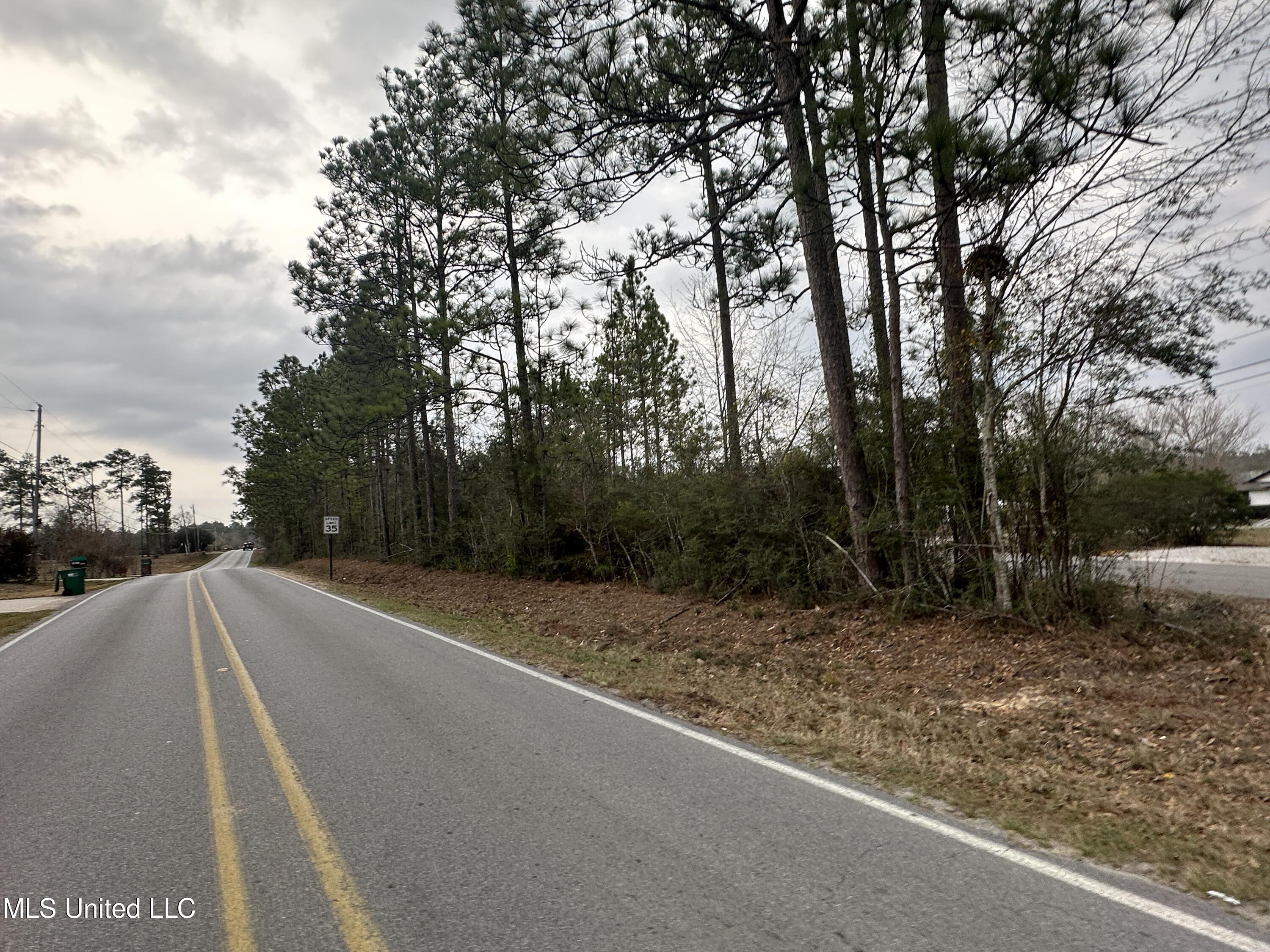 Shaw Road, Saucier, Mississippi image 3