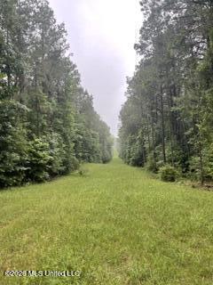 Lowenkamp Lane