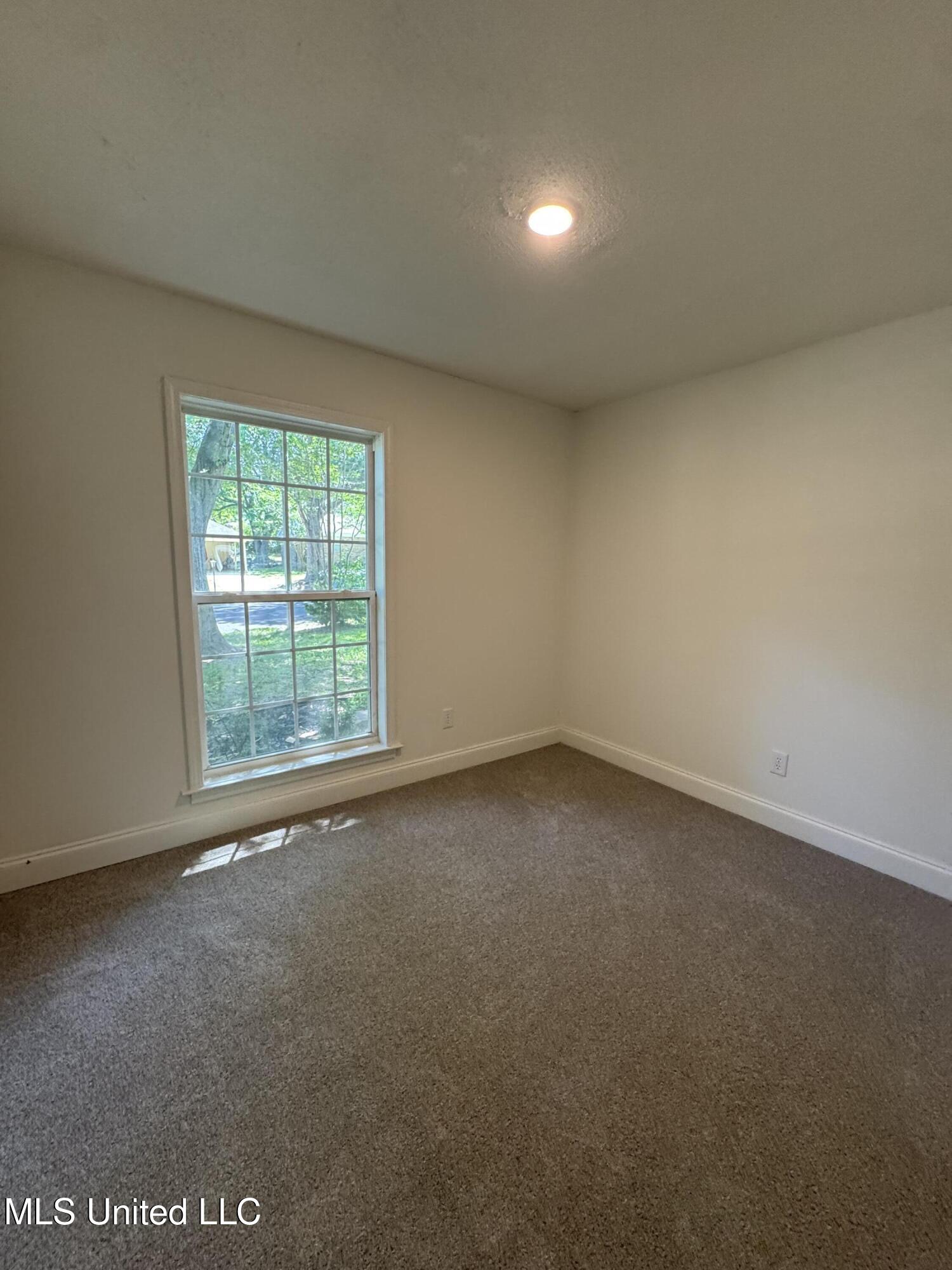 8327 Colonial Hills Cove, Southaven, Mississippi image 18