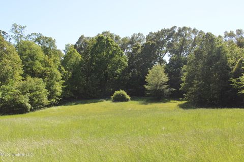 Unimproved Land in Southaven MS 4900 Pepperchase Drive.jpg