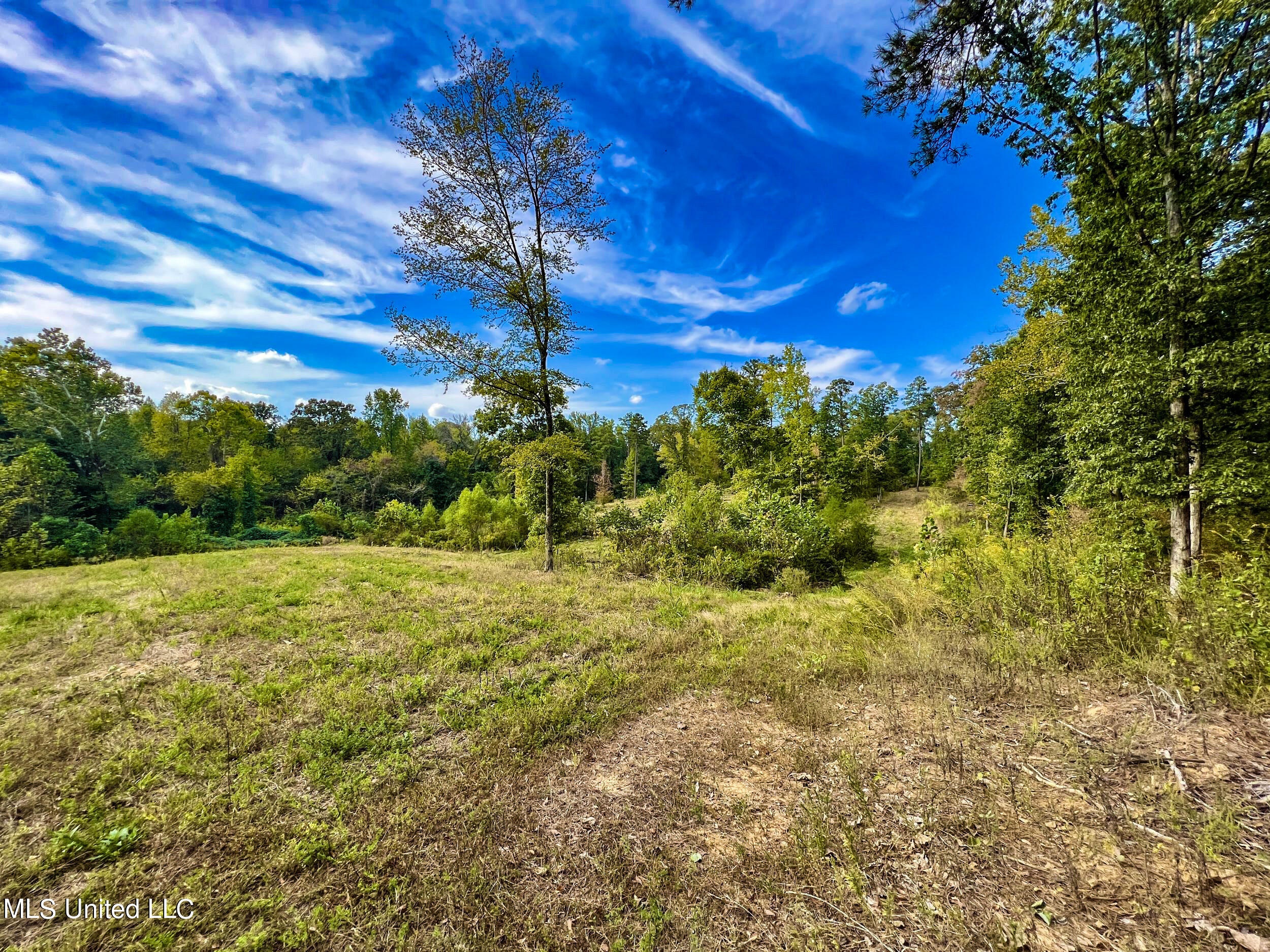 1059 Oak Grove Road, Charleston, Mississippi image 40