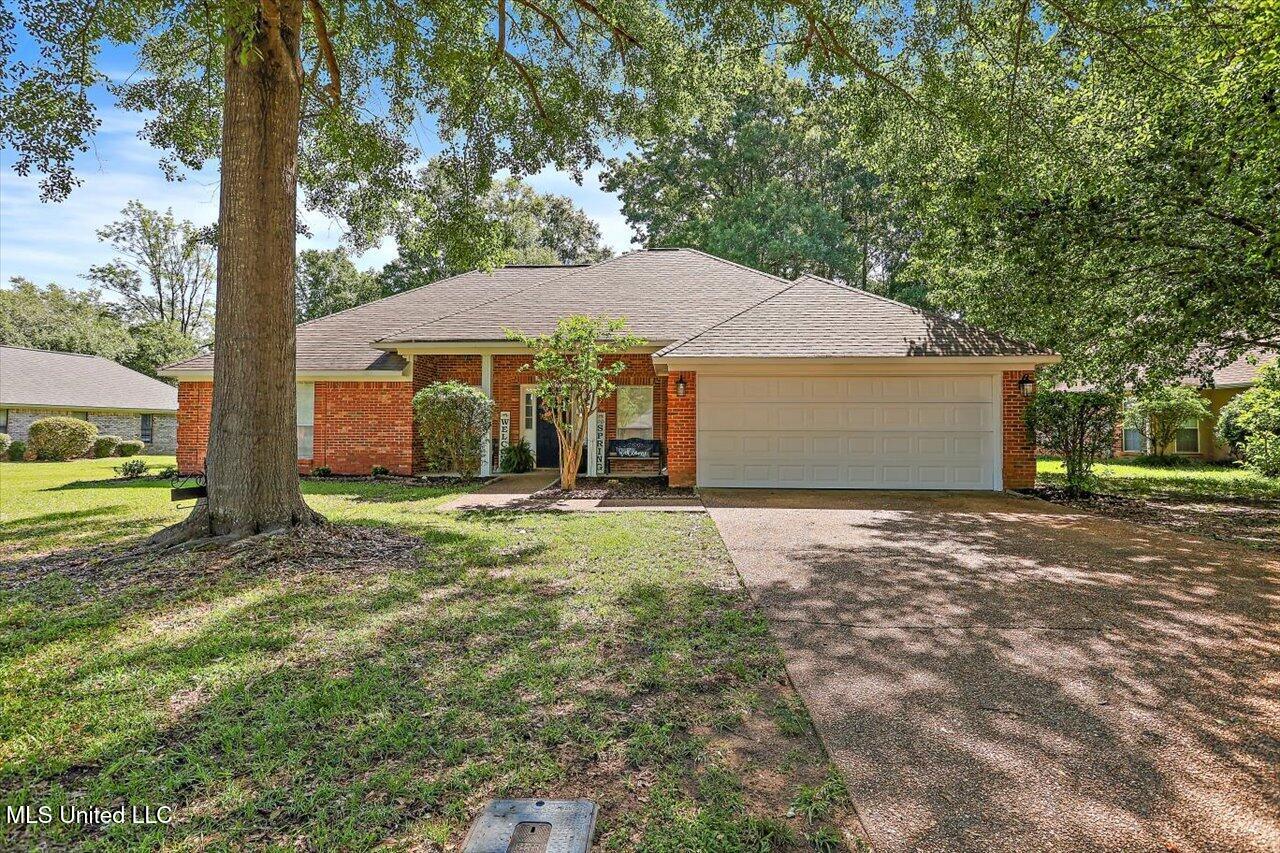206 Southwind Drive, Richland, Mississippi image 2