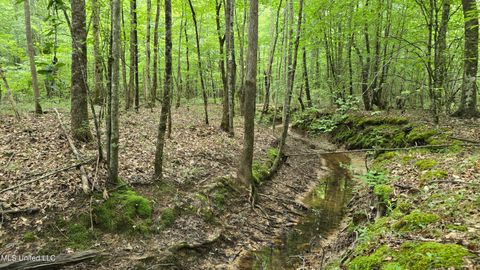 Vacant Land For Sale - Pearson Road<br/> Choctaw County, Stewart, MS 39767