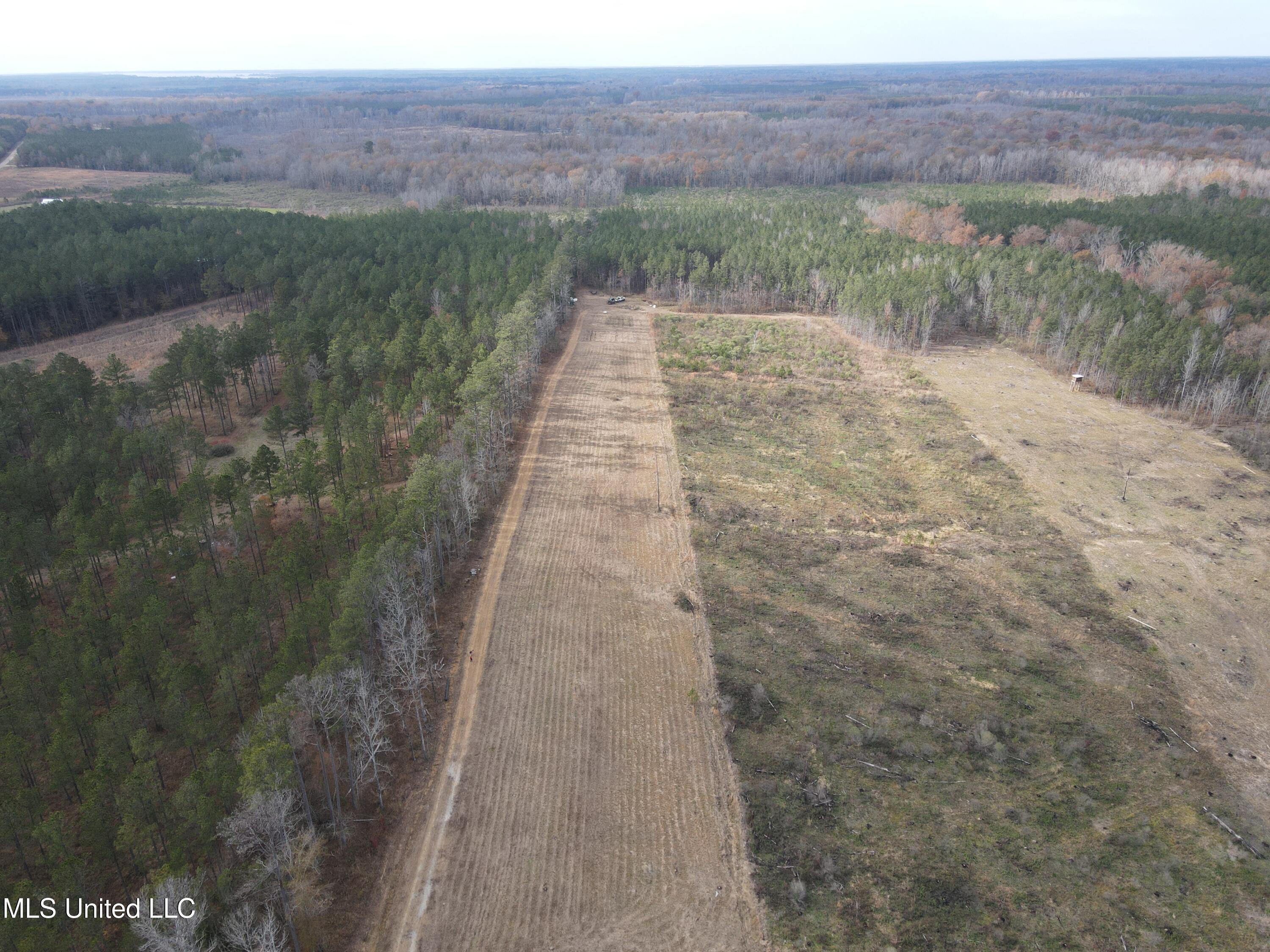 Coal Bluff Road, Lena, Mississippi image 20