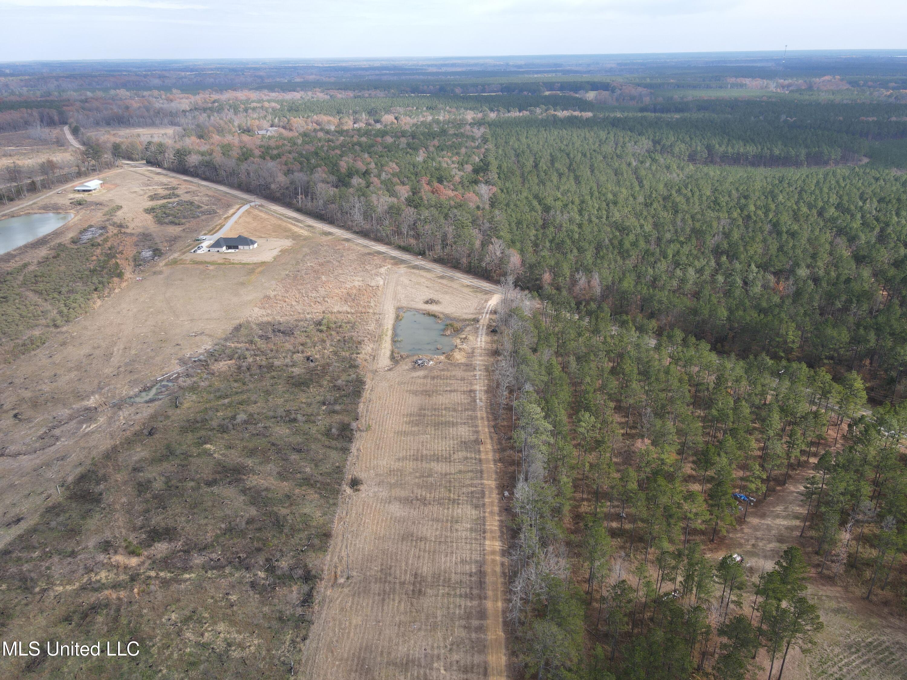 Coal Bluff Road, Lena, Mississippi image 17