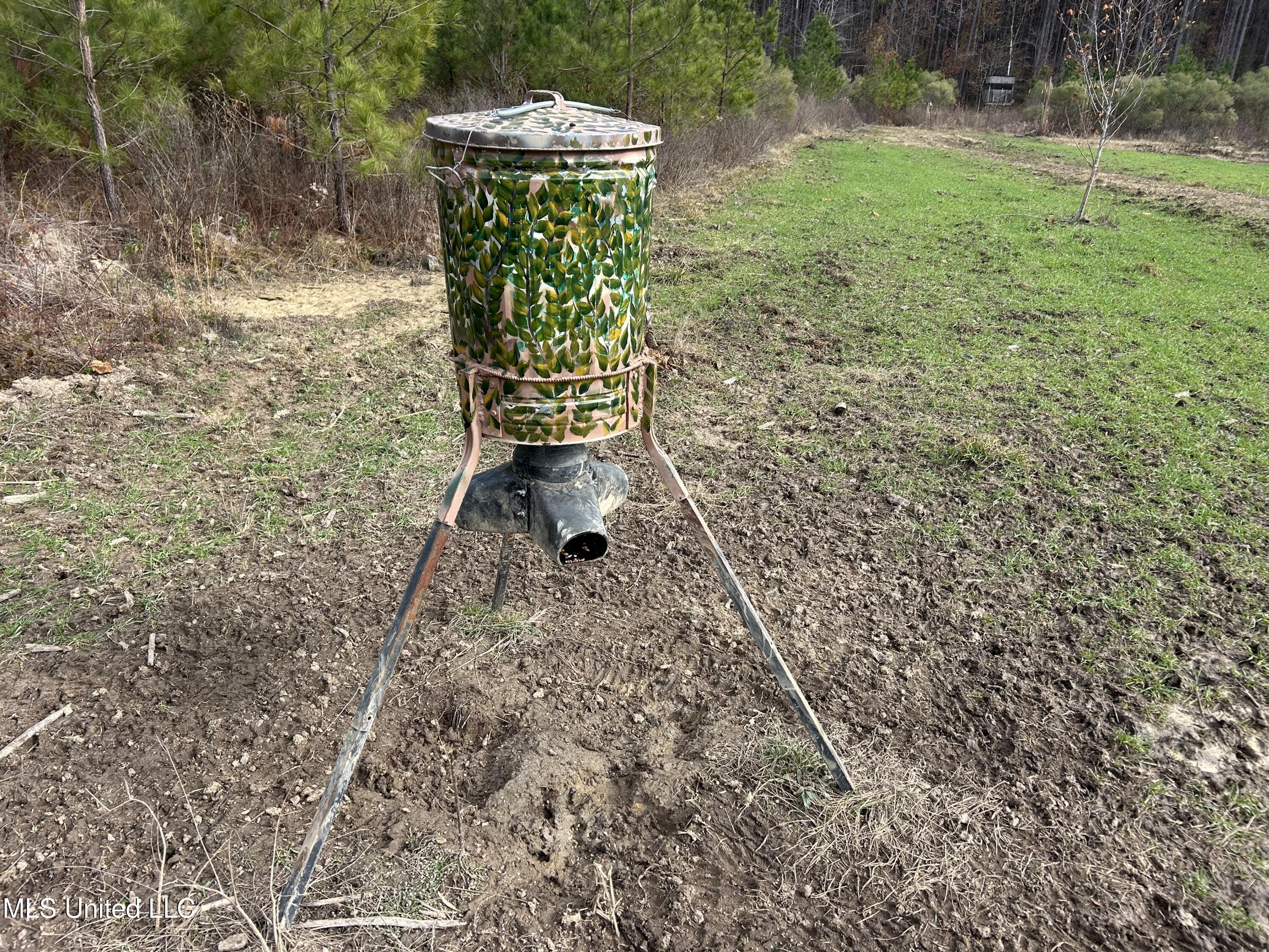 Coal Bluff Road, Lena, Mississippi image 40