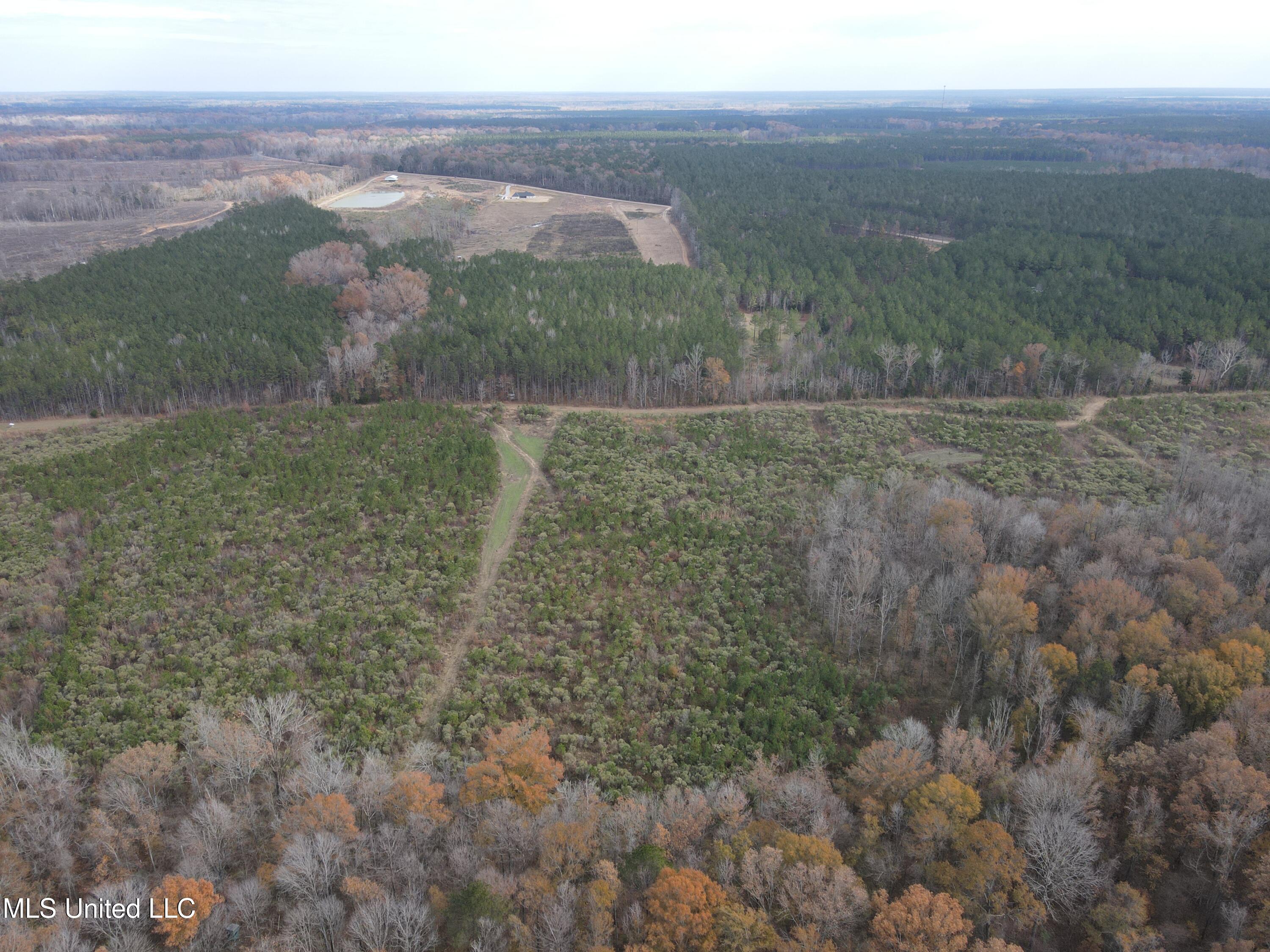 Coal Bluff Road, Lena, Mississippi image 11