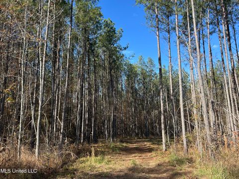 Vacant Land For Sale - Coal Bluff Road<br/> Lena, MS 39094